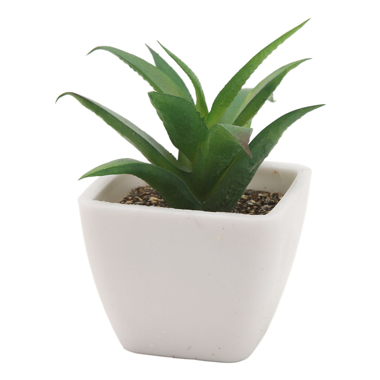 6PCS Potted Artificial Succulents Artificial Plants in Pots Plastic Fake Home Plant Decor for Living Room Office