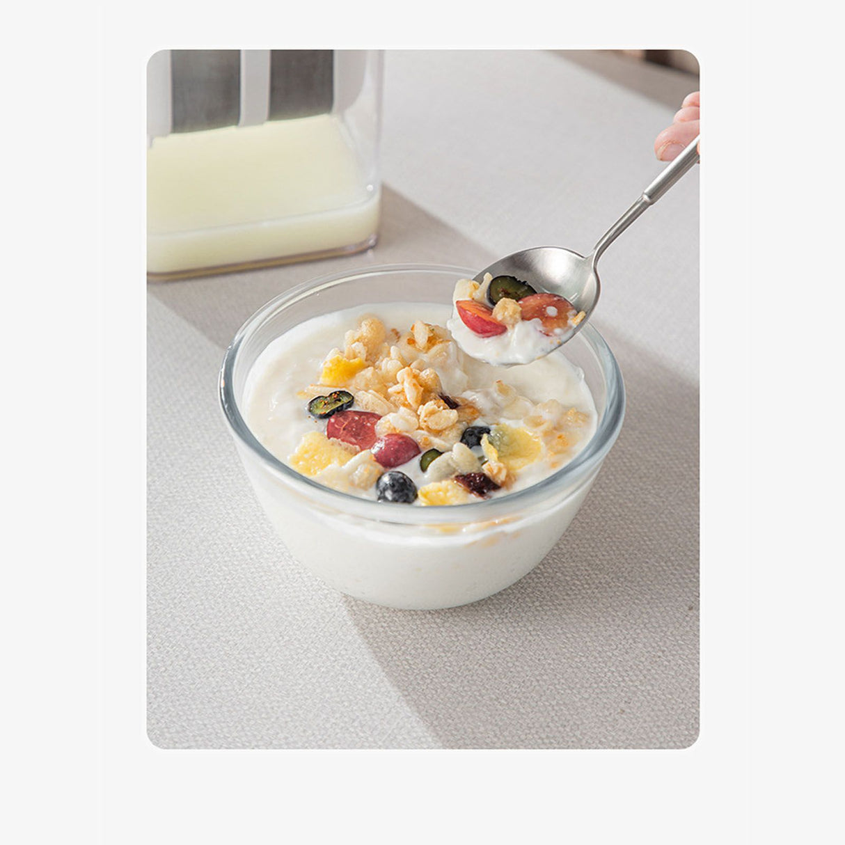 Yogurt Strainer with Extra Fine Mesh Strainer Bag Transparent Cover Multi Functional Cheese Filter