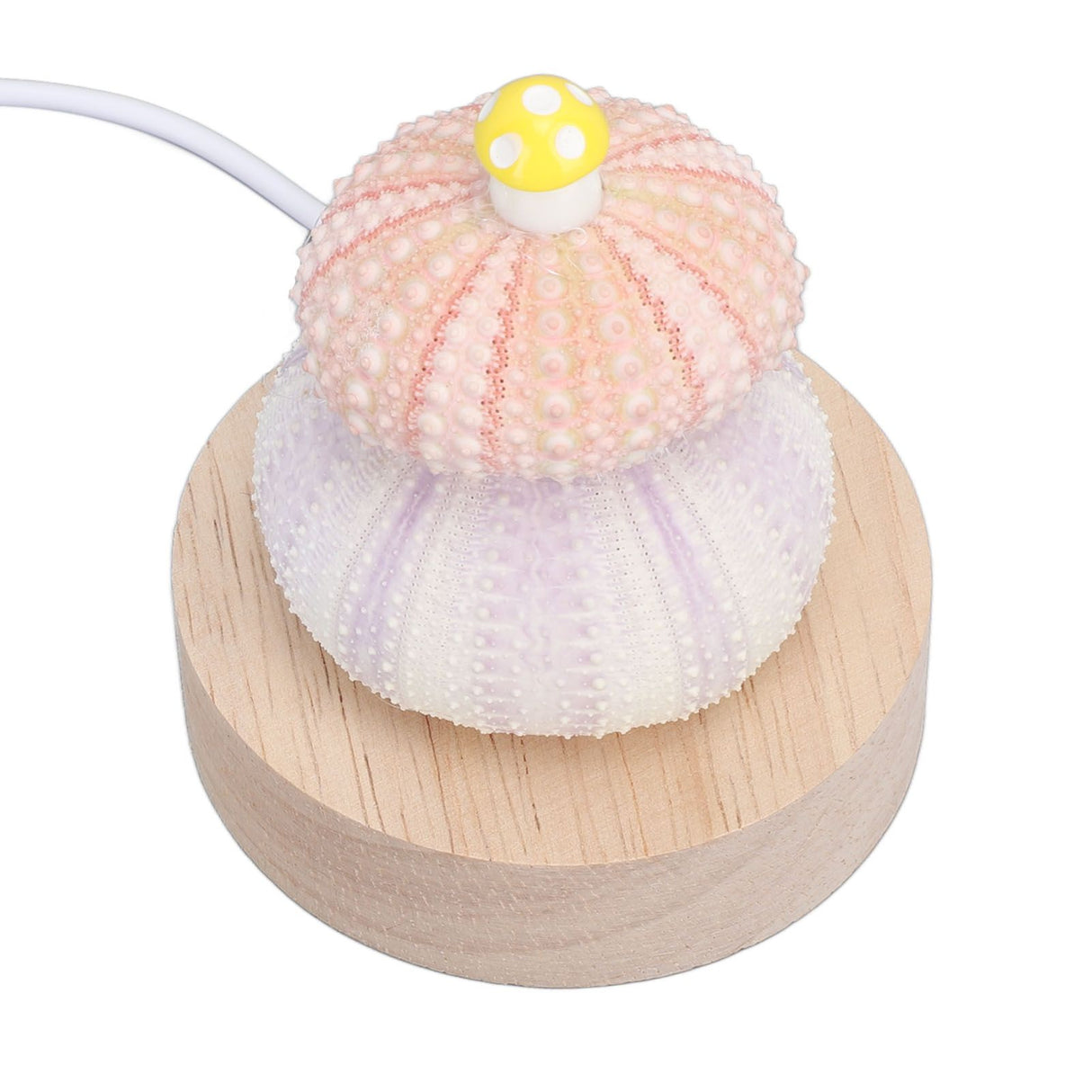 LED Night Lamp Warm White USB Plug In Natural Shell Body Cute Mushroom Decor Bedside Night Light