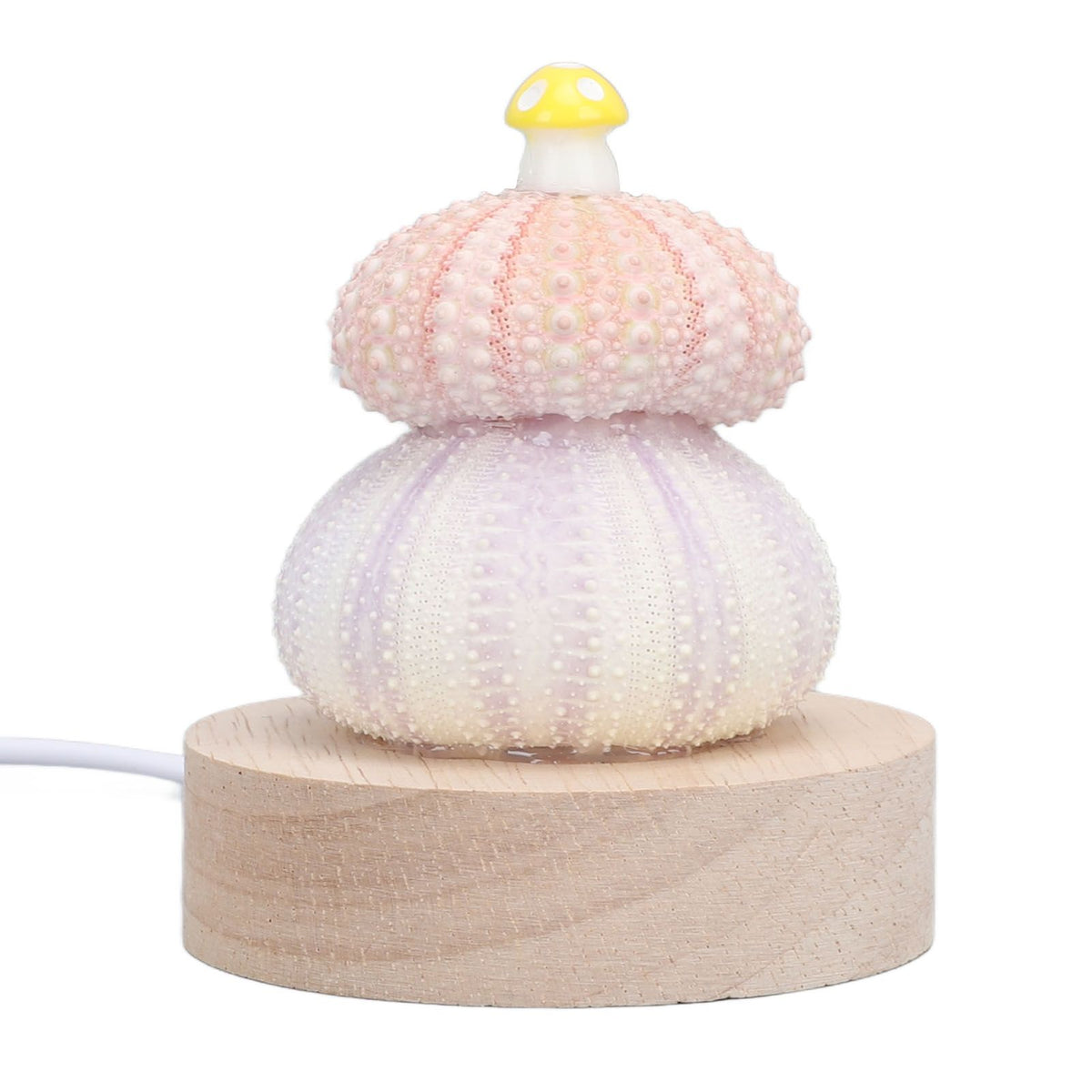 LED Night Lamp Warm White USB Plug In Natural Shell Body Cute Mushroom Decor Bedside Night Light