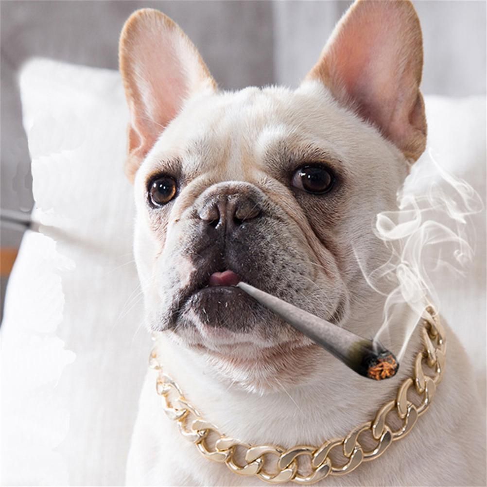 Dog Chain Pet Dog Metal Gold Collar Necklace Pet Jewelry Accessories for Four Seasons