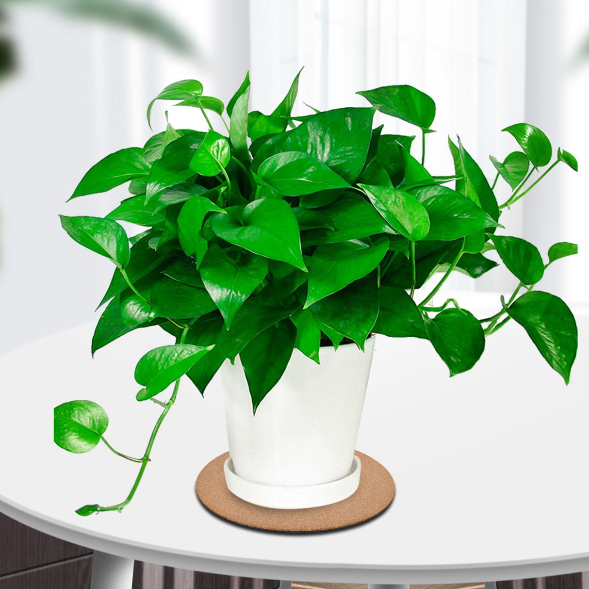 Eco Friendly Plastic Sheet Cork Flowerpot Pad Cork Plastic Sheet Plastic Cork Pad