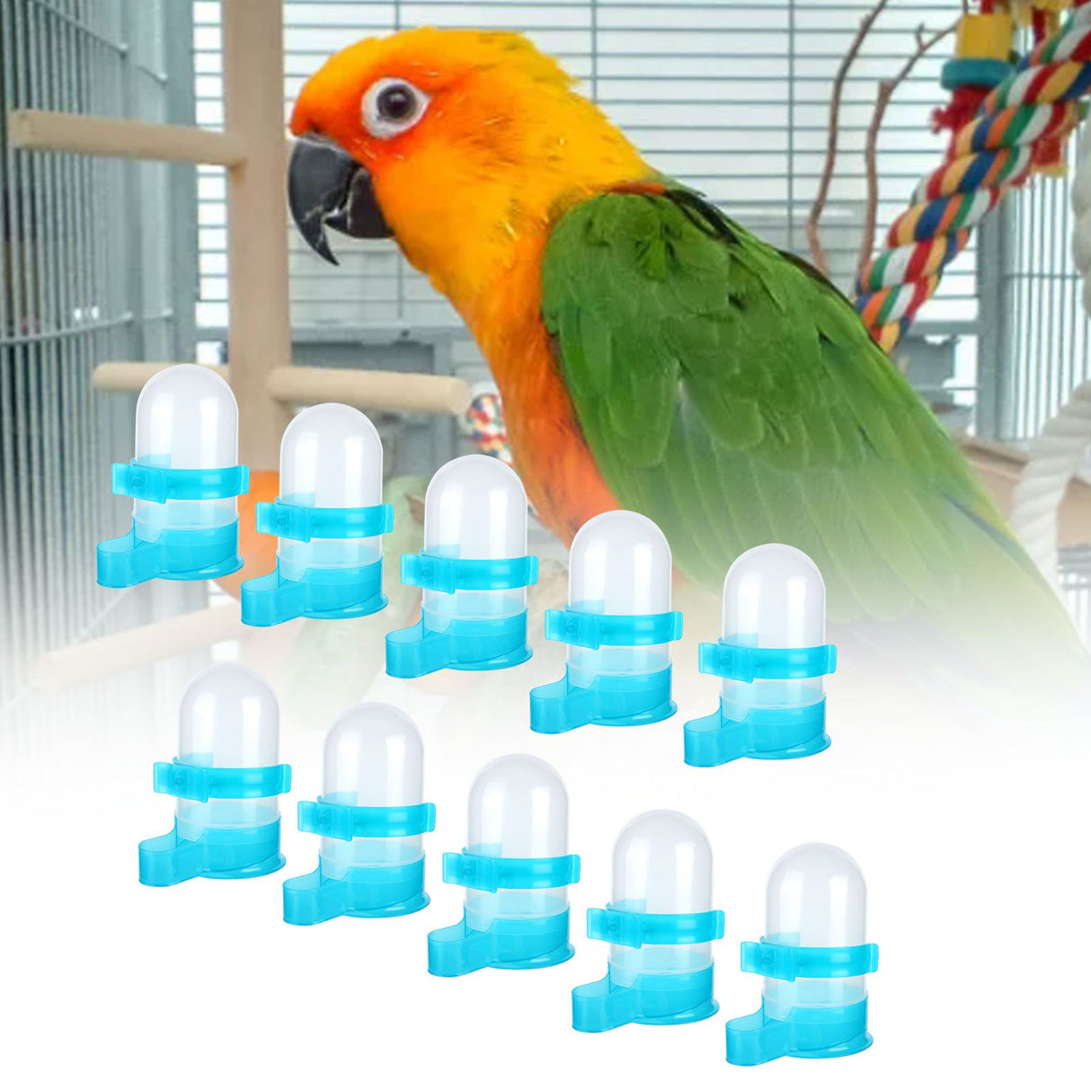 10Pcs Plastic Automatic Bird Food Feeder Hanging Bird Water Dispenser for Parrots Hamster