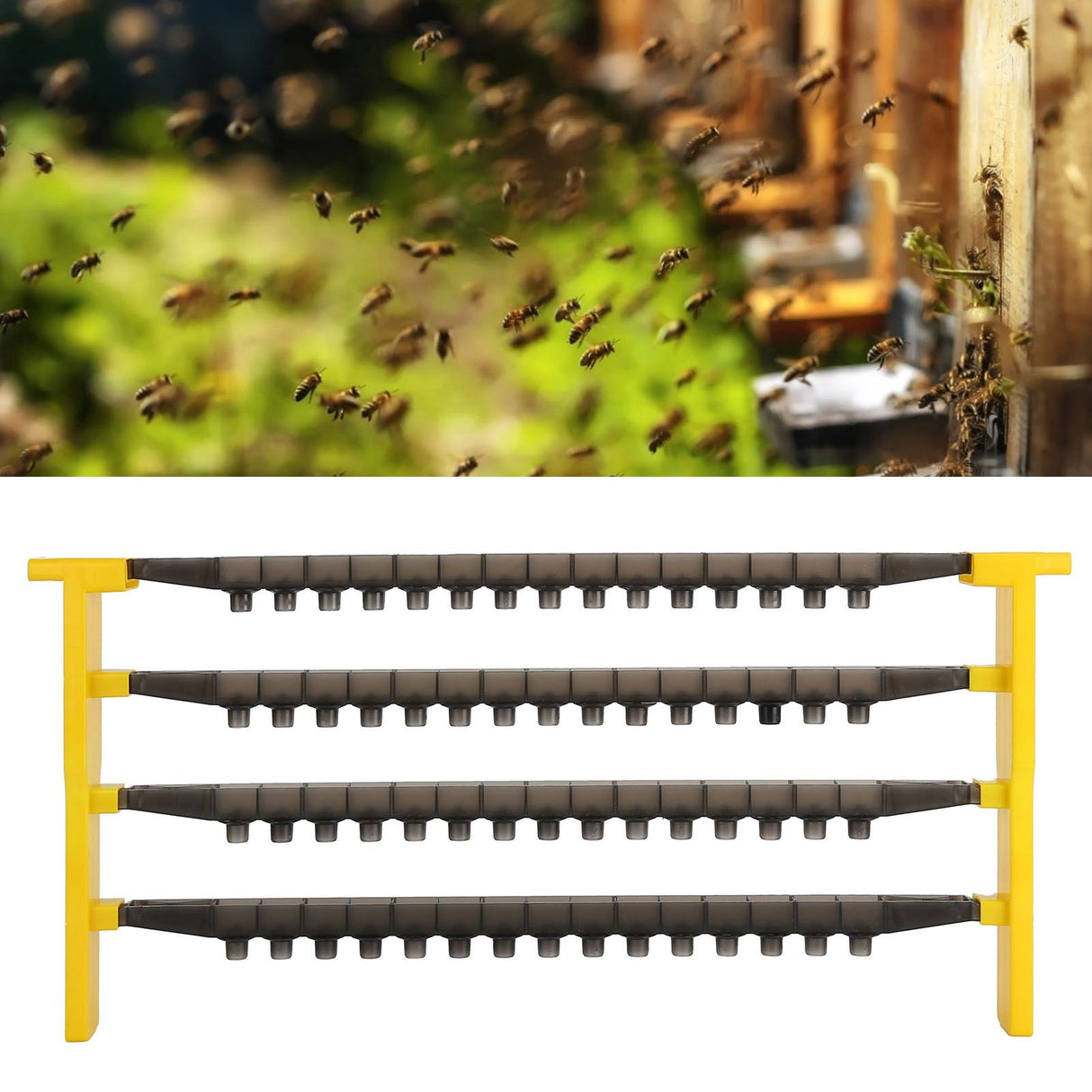 Queen Cell Kit Beekeeping Lightweight Side Beam NonToxic Queen Rearing Frame for Beekeeping