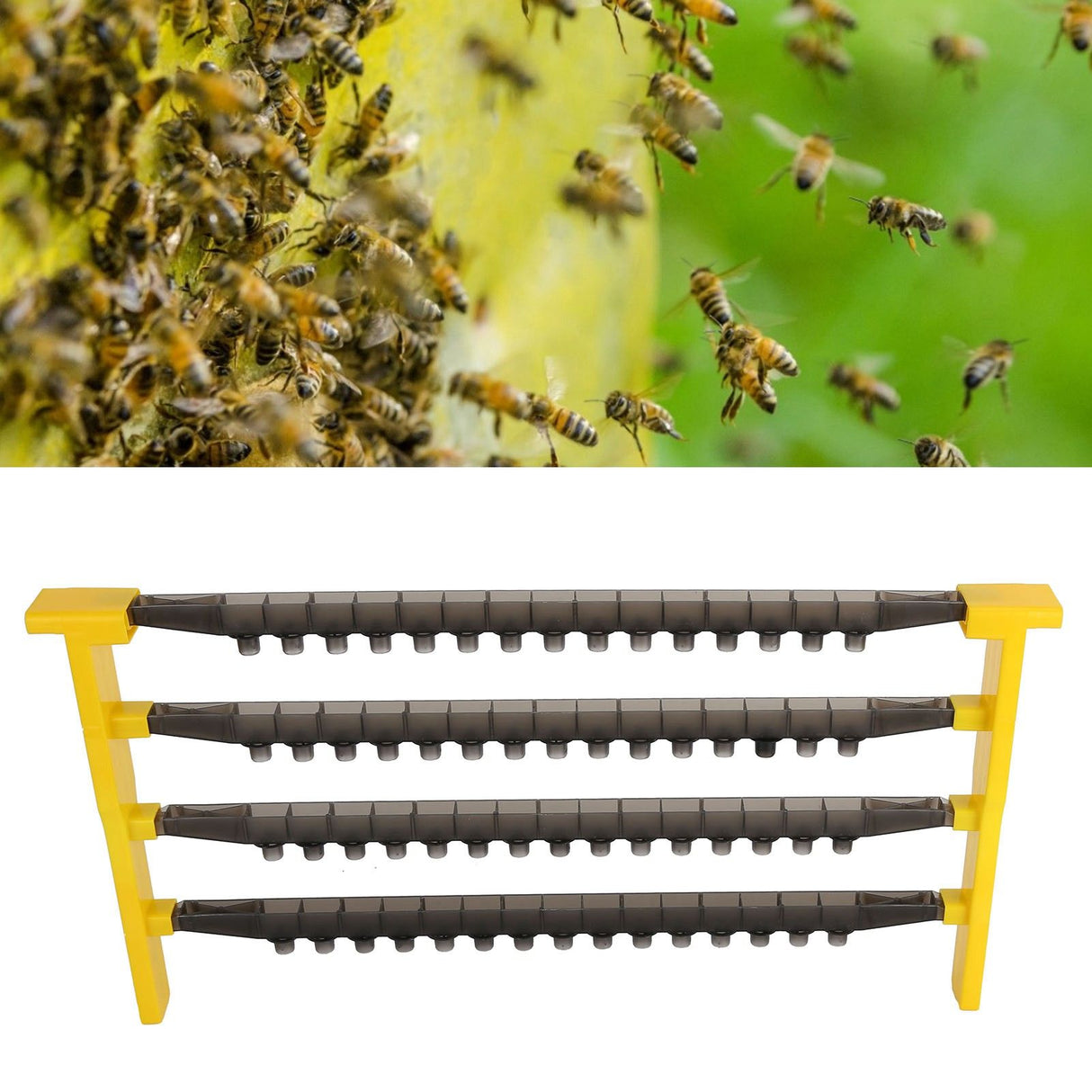 Queen Cell Kit Beekeeping Lightweight Side Beam NonToxic Queen Rearing Frame for Beekeeping