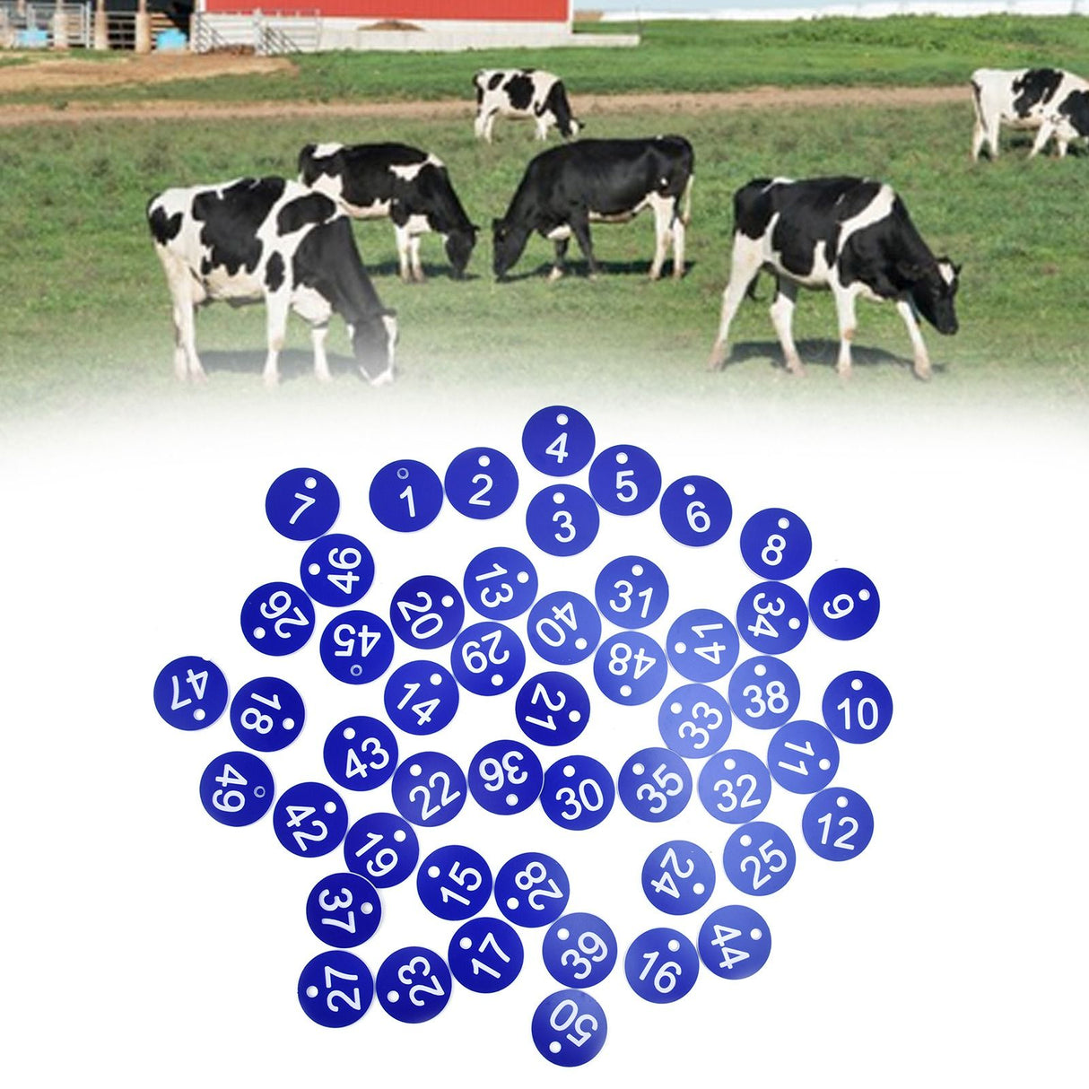 50PCS Numbered Label Numbered Tag for Farm Livestock Beekeeping Husbandry Breeding Supplies1-50 Blue