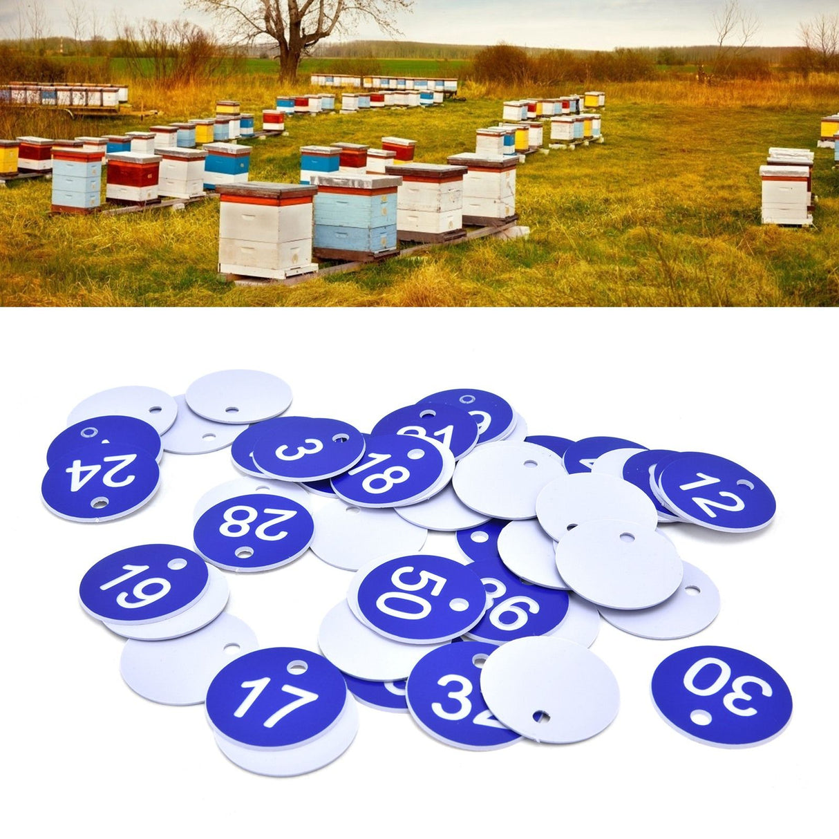 50PCS Numbered Label Numbered Tag for Farm Livestock Beekeeping Husbandry Breeding Supplies1-50 Blue