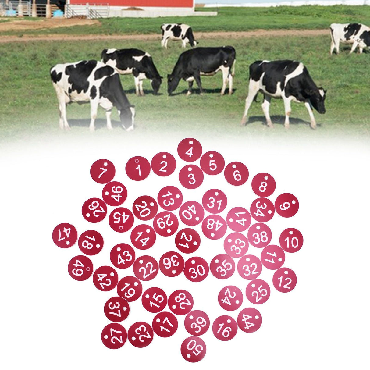 50PCS Numbered Label Numbered Tag for Farm Livestock Beekeeping Husbandry Breeding Supplies1-50 Red