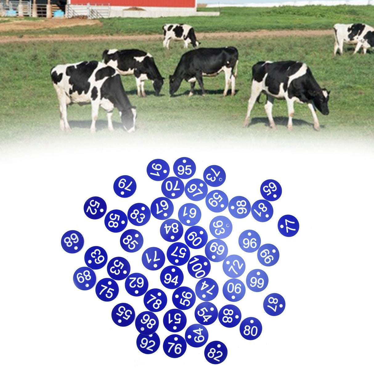 50PCS Numbered Label Numbered Tag for Farm Livestock Beekeeping Husbandry Breeding Supplies51-100 Blue