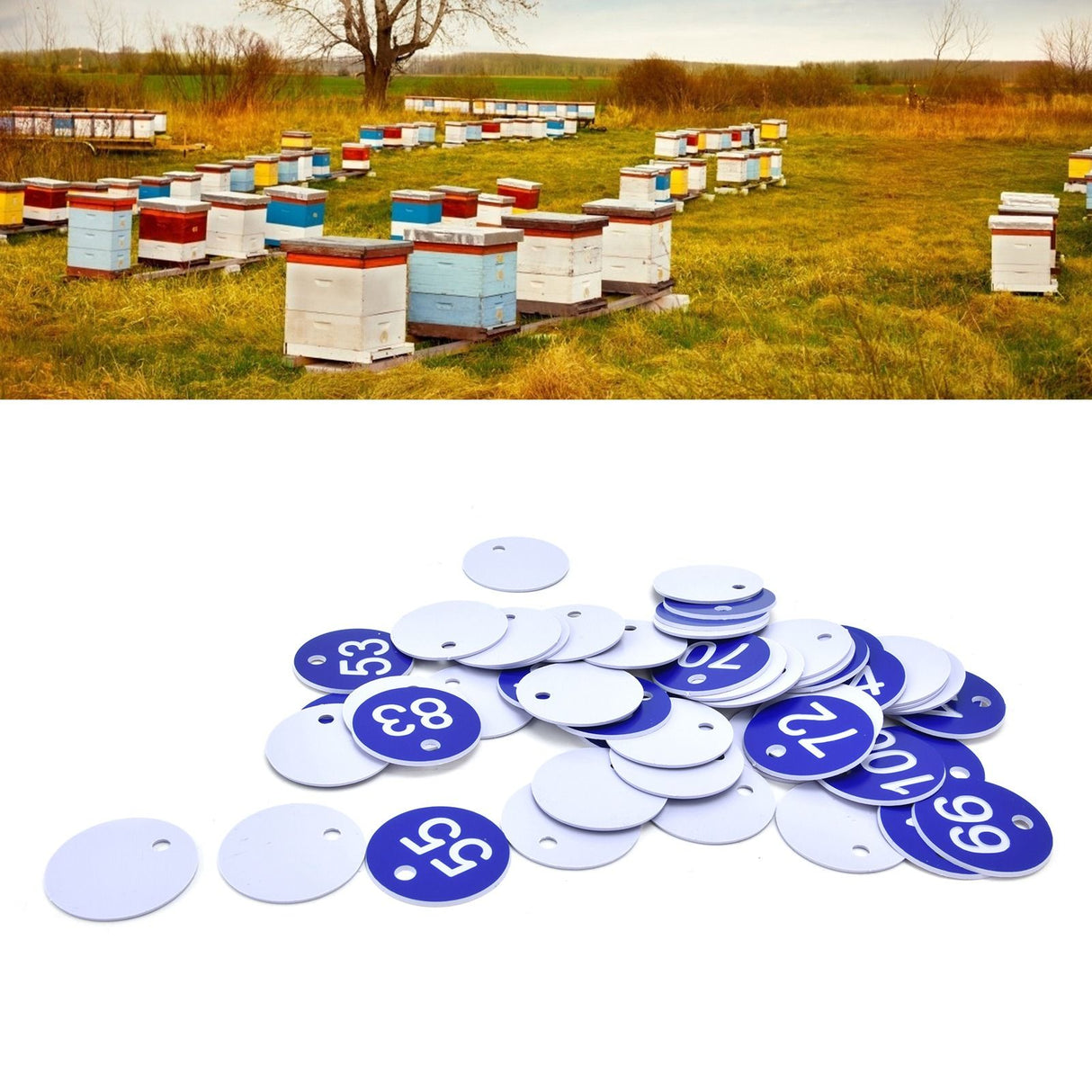 50PCS Numbered Label Numbered Tag for Farm Livestock Beekeeping Husbandry Breeding Supplies51-100 Blue