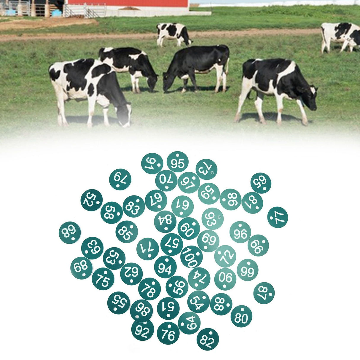 50PCS Numbered Label Numbered Tag for Farm Livestock Beekeeping Husbandry Breeding Supplies51-100 Green