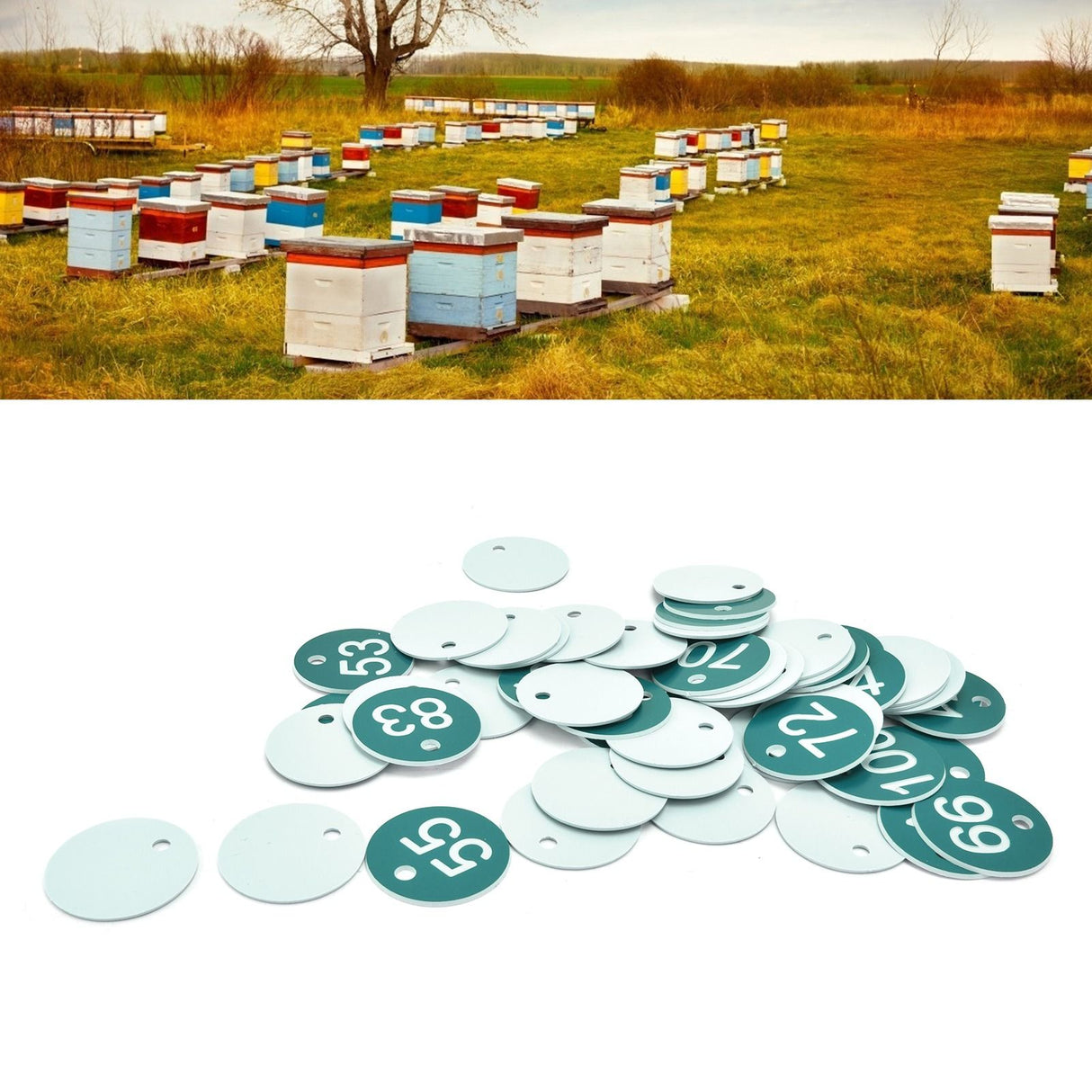 50PCS Numbered Label Numbered Tag for Farm Livestock Beekeeping Husbandry Breeding Supplies51-100 Green