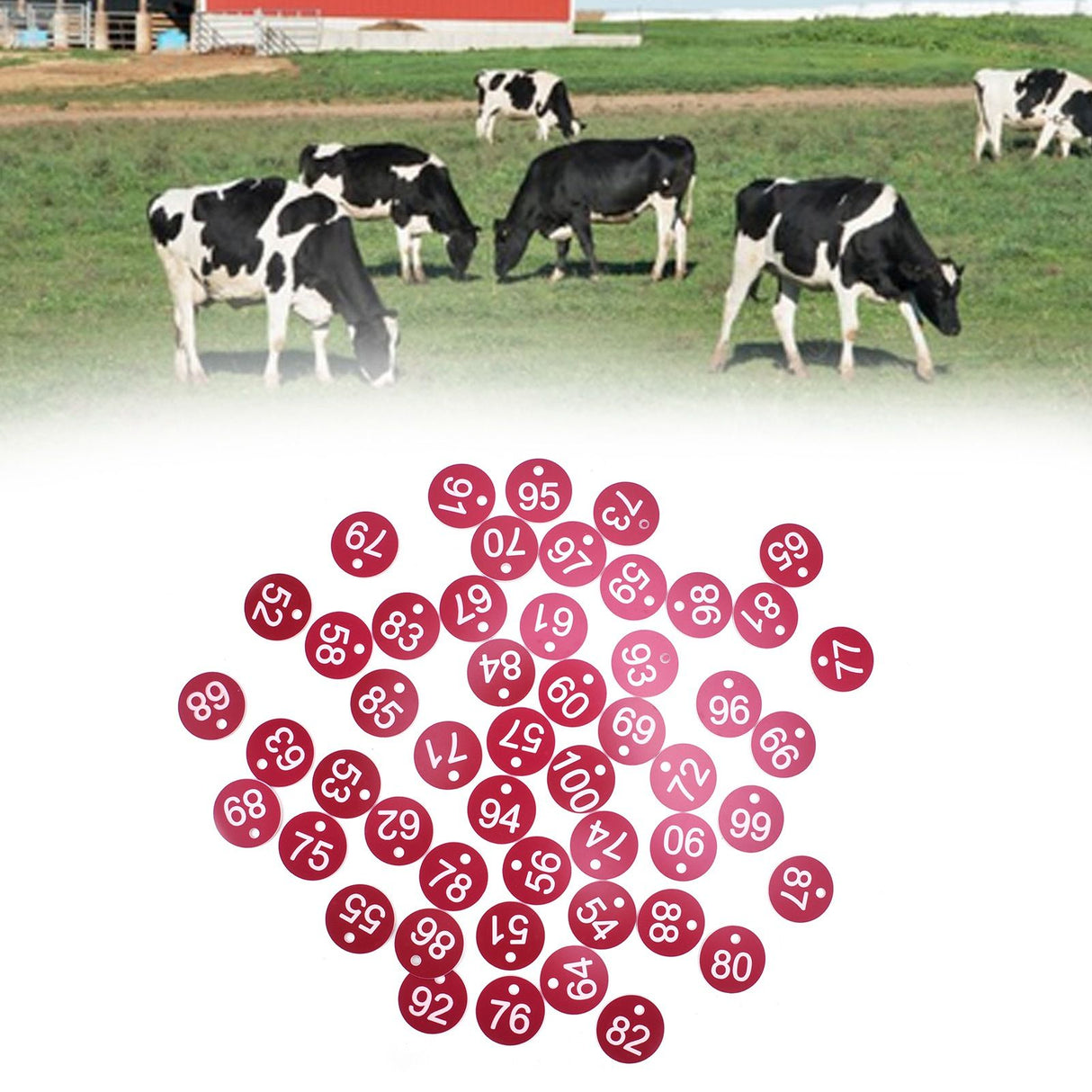 50PCS Numbered Label Numbered Tag for Farm Livestock Beekeeping Husbandry Breeding Supplies51-100 Red