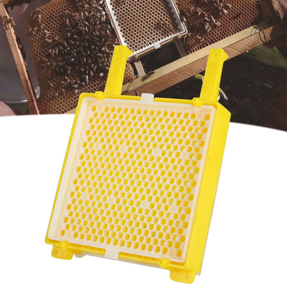 Apiculture System Kit Queen Bee Rearing System Box Beekeeping Box Rearing Grafting Kit
