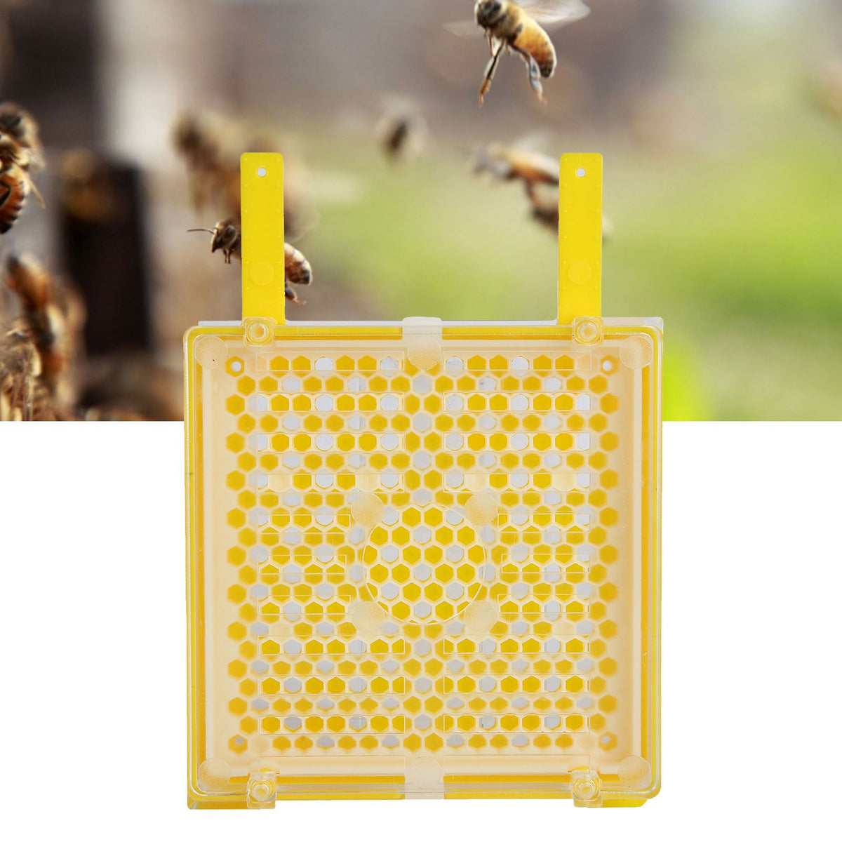 Apiculture System Kit Queen Bee Rearing System Box Beekeeping Box Rearing Grafting Kit