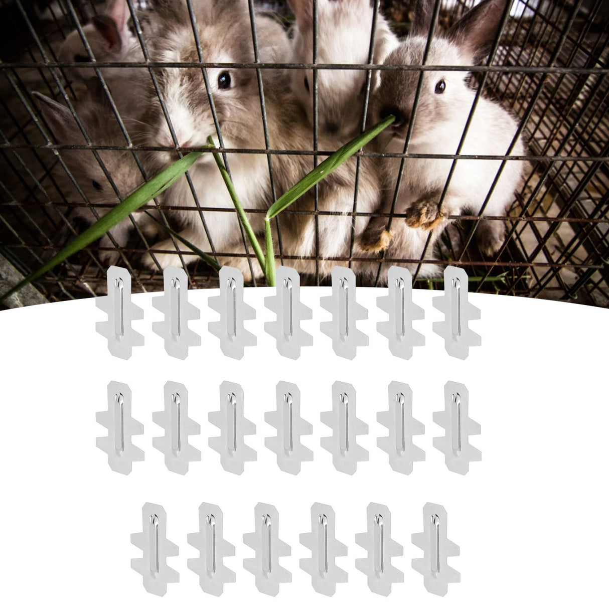 20Pcs Stainless Steel Rabbit Cage Door Hook Card Accessory Cage Hardware Breeding Equipment