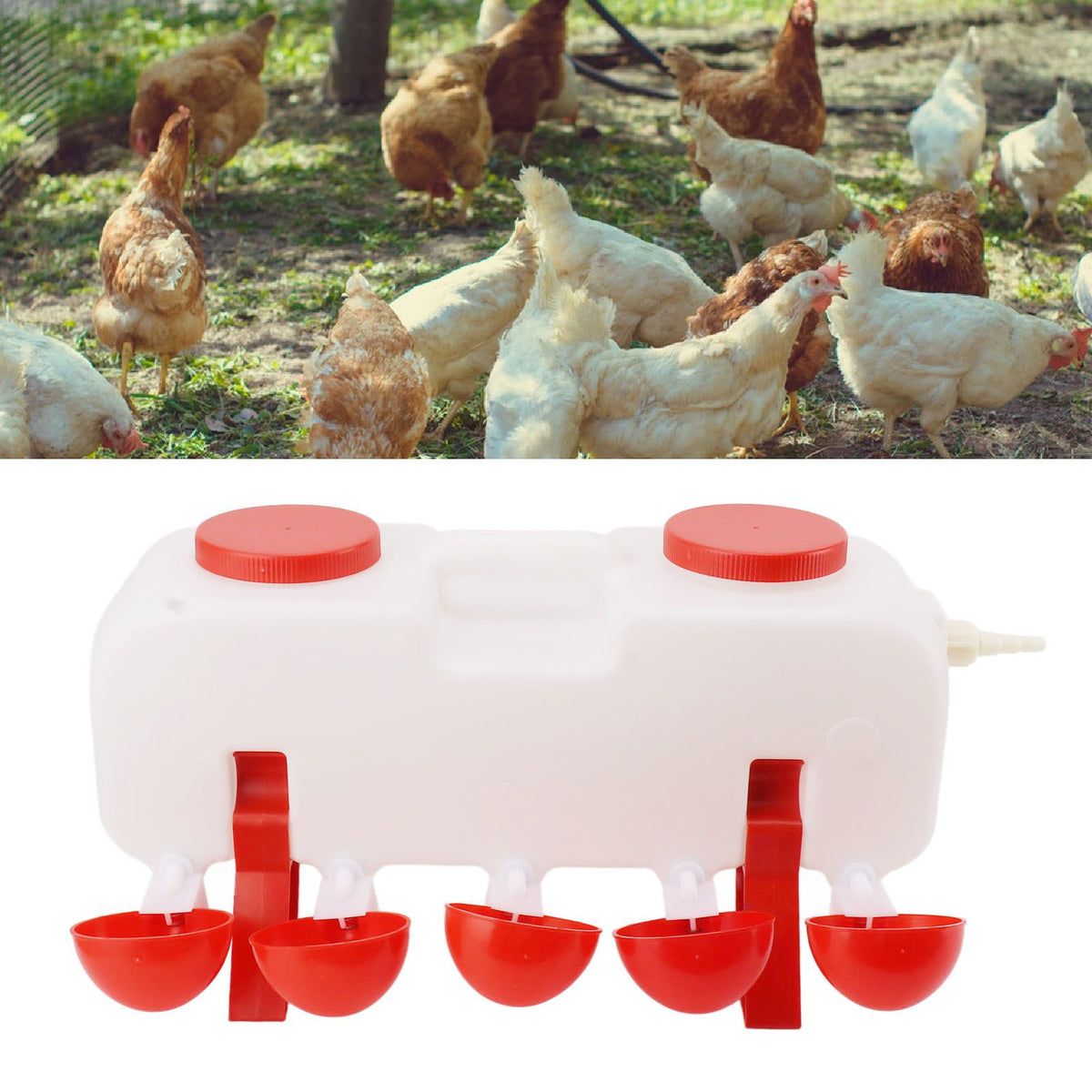Automatic Chicken Waterer 10L Large Poultry Drinking Cups with 10pcs Bowls for Duck Goose