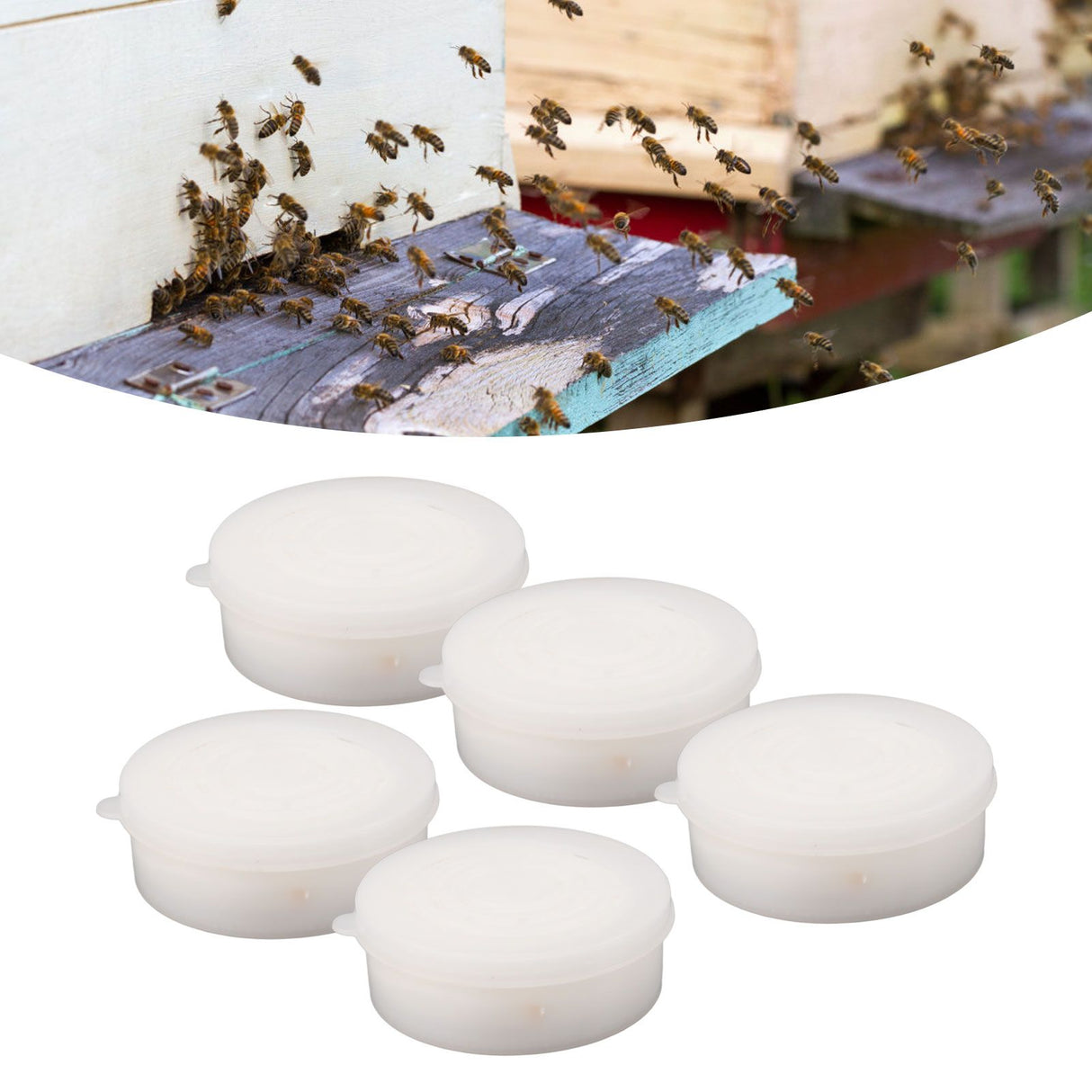 5 PCS Formic Acid Dispenser Easy To Use High Efficient Professional Formic Acid Evaporator for Beekeeping