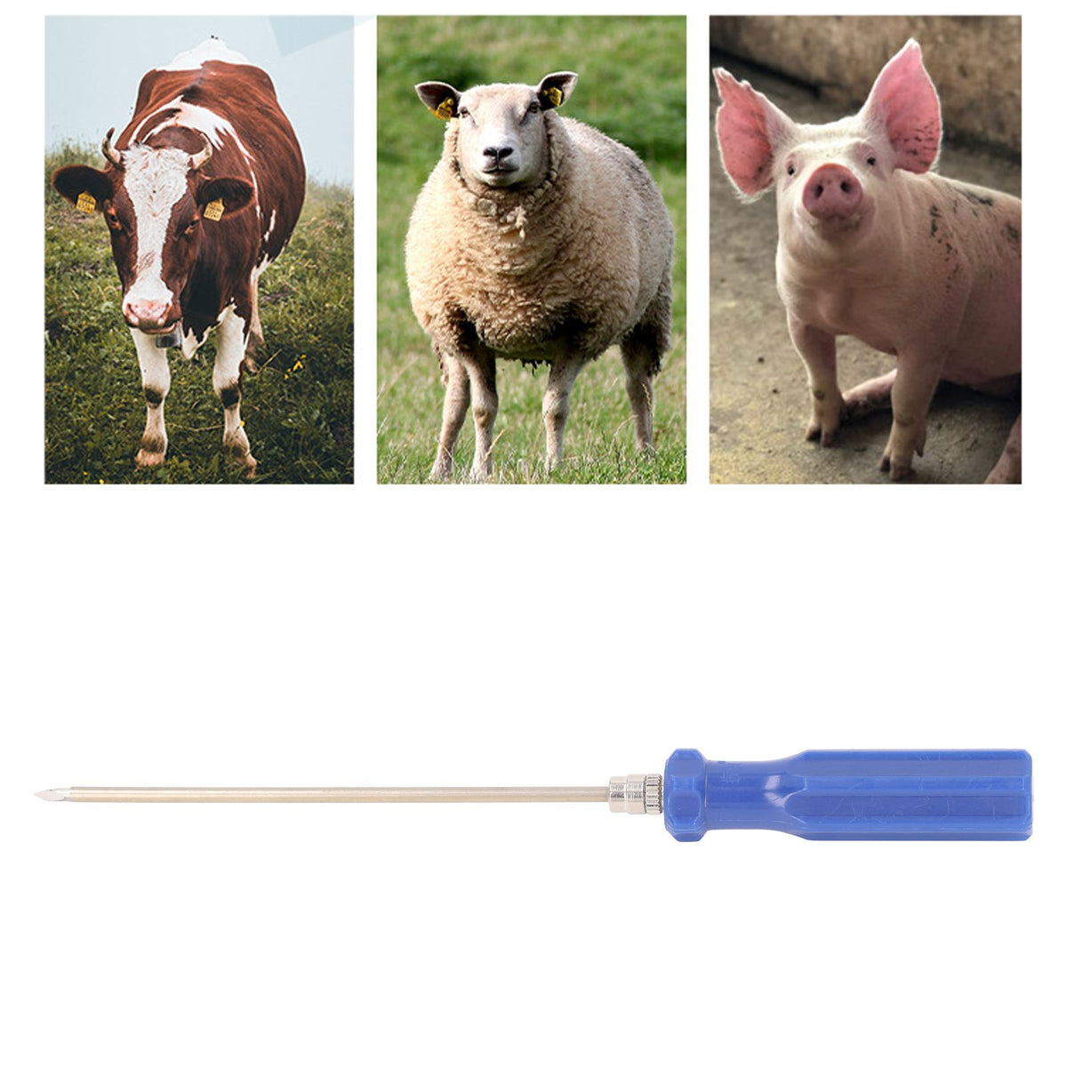 3PCS Livestock Trocar Stainless Steel Dispensing Stomach Deflation Needle Veterinary Equipment Surgical Instruments for Cattle Cow Rumen Puncture