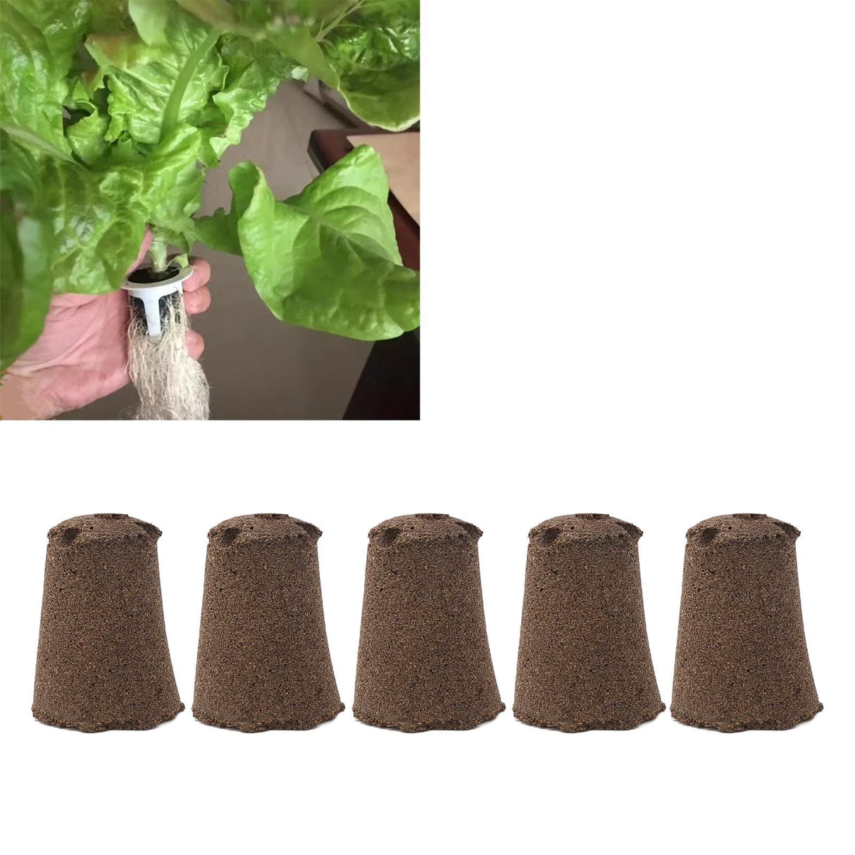 50 Pcs Seedling Block Peat Planting Block for Gardening Hydroponics Soilless Cultivation Plants Germination HRD TN0314