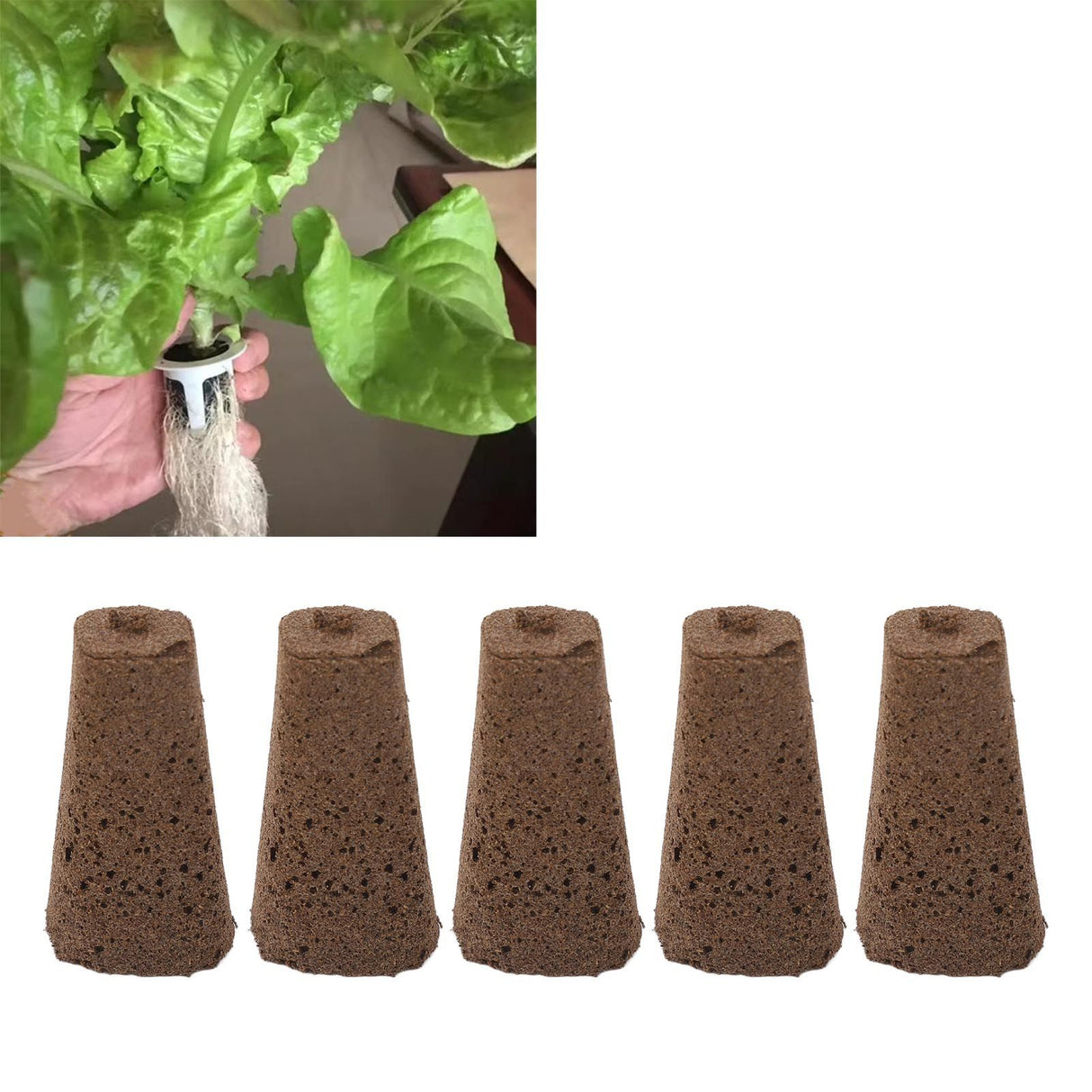 50 Pcs Seedling Block Peat Planting Block for Gardening Hydroponics Soilless Cultivation Plants Germination HRD TN0415