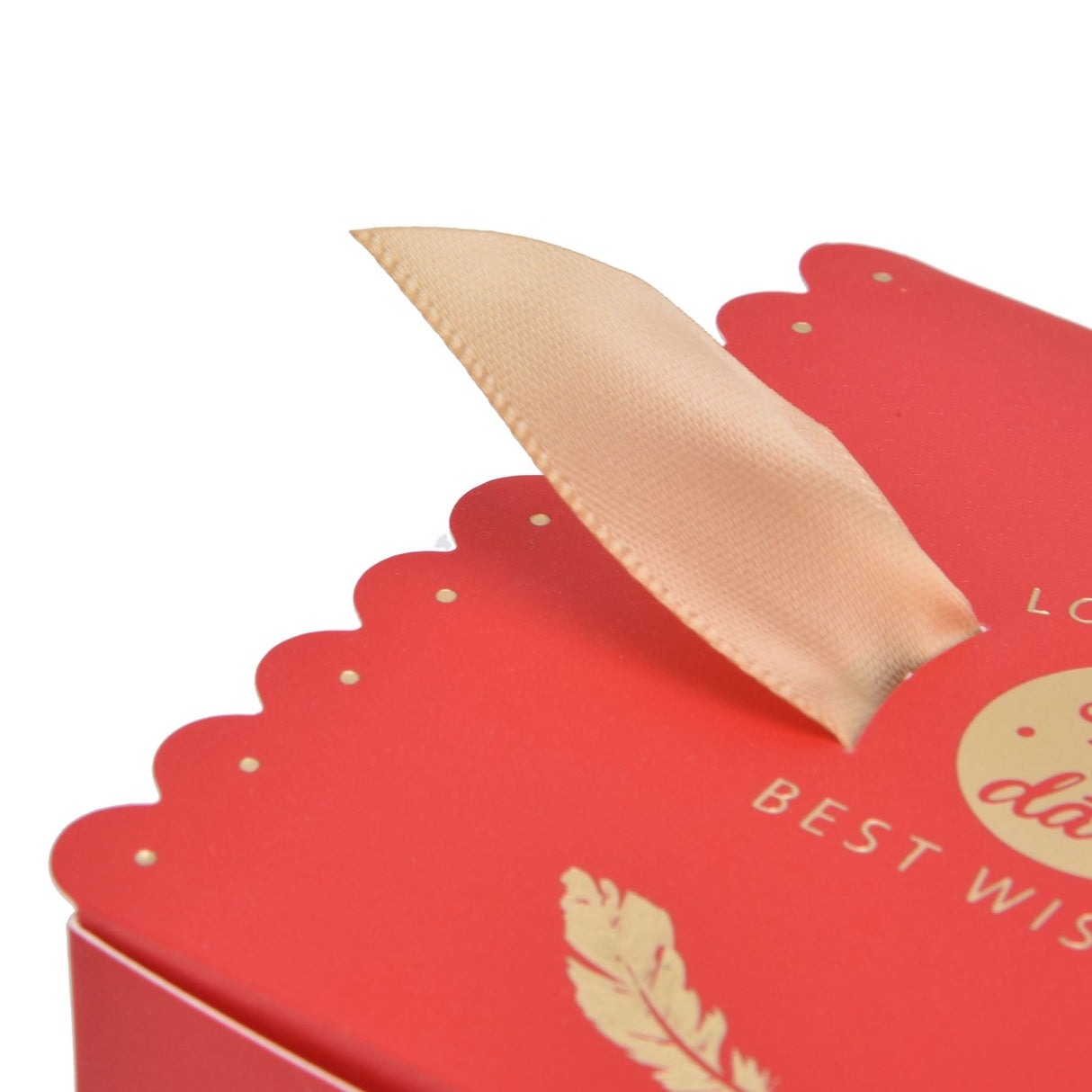 50Pcs Square Wedding Candy Box with Golden Ribbon Innovative Paperboard Box for Party AnniversaryL Red Gold Feather