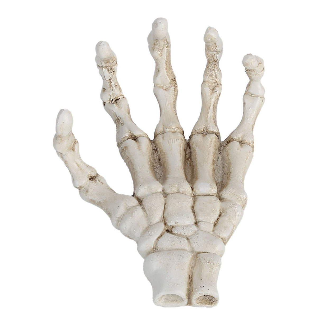 Halloween Skeleton Hands High Hardness Corrosion Resistance Light Weight Hand Bone Ornaments for Teaching Tool Bracket