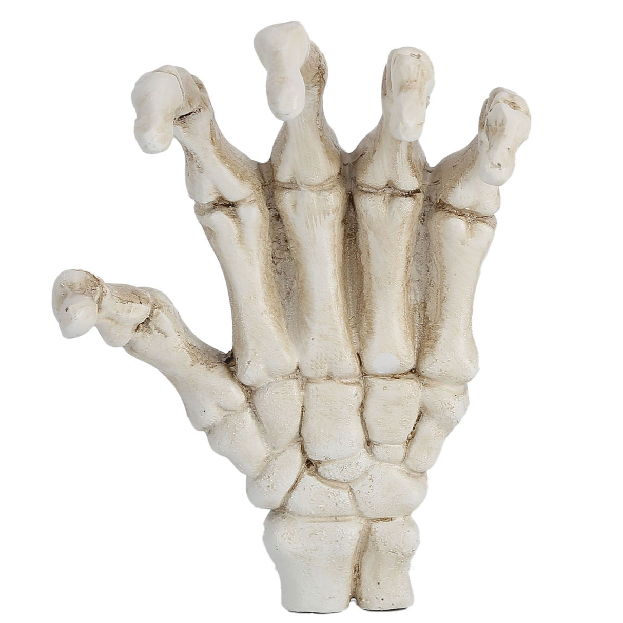 Halloween Skeleton Hands High Hardness Corrosion Resistance Light Weight Hand Bone Ornaments for Teaching Tool Bracket