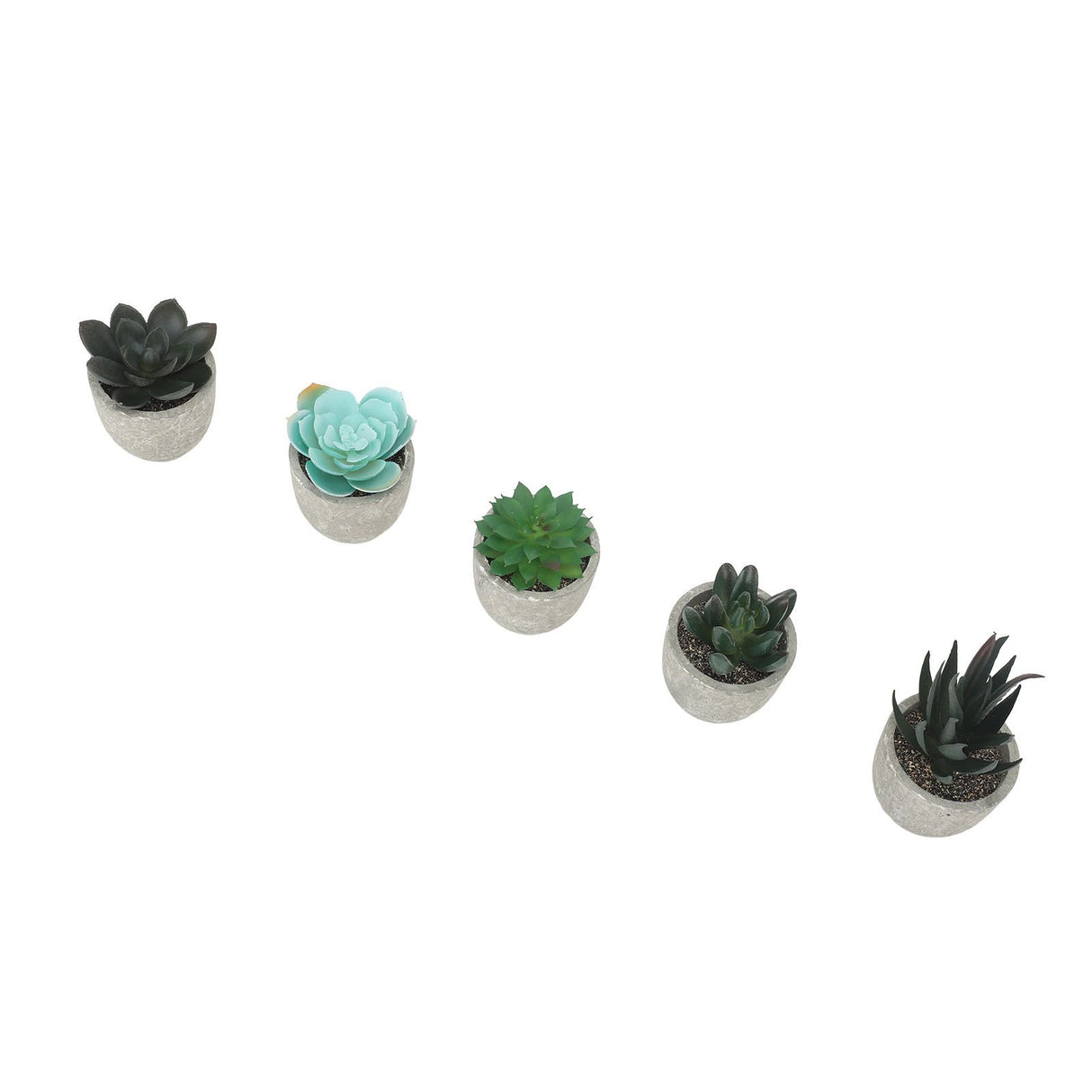 5pcs Artificial Succulent Plants Potted Assorted Mini Decorative Faux Succulent Potted Fake Plants Succulents in Paper Pulp Pot