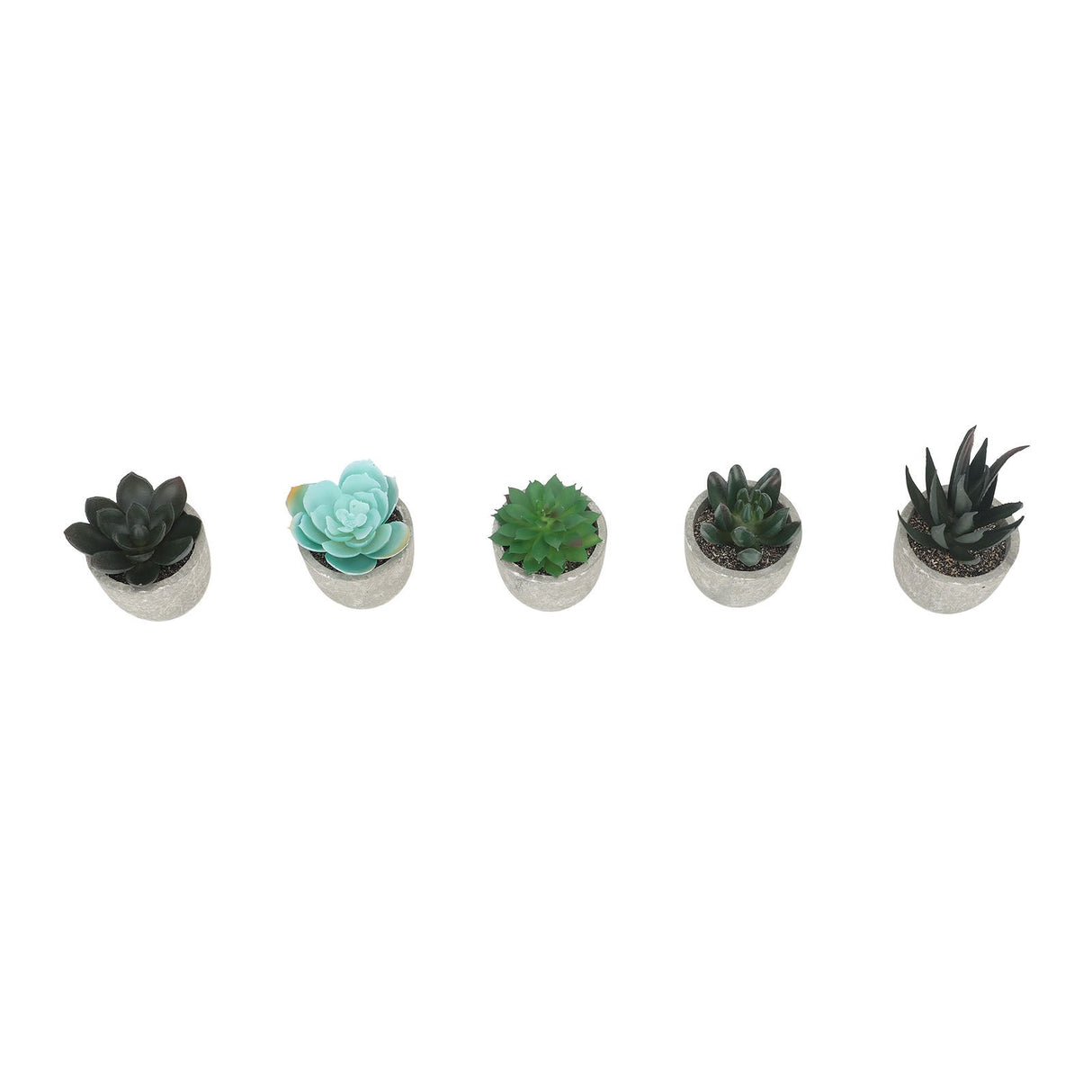 5pcs Artificial Succulent Plants Potted Assorted Mini Decorative Faux Succulent Potted Fake Plants Succulents in Paper Pulp Pot