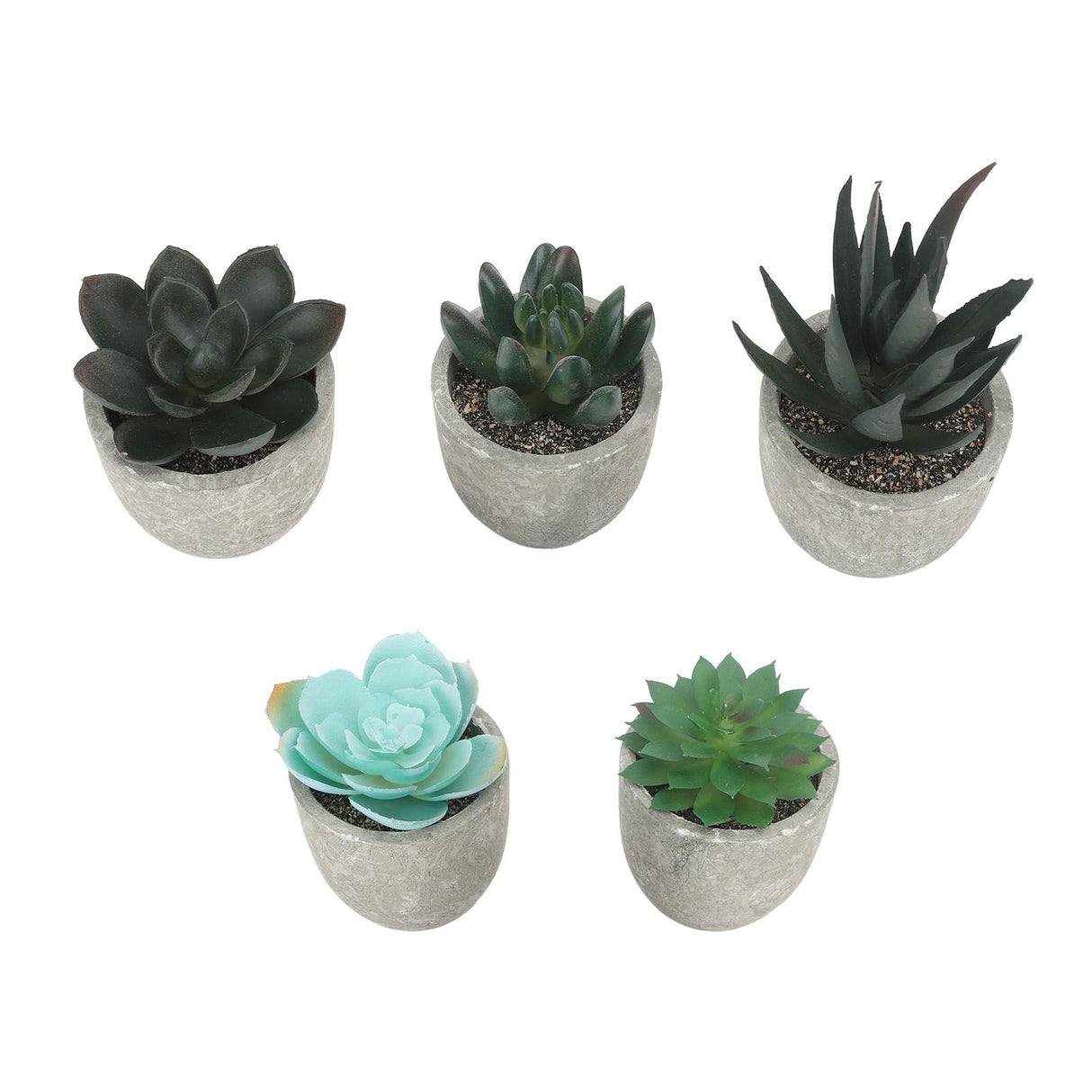 5pcs Artificial Succulent Plants Potted Assorted Mini Decorative Faux Succulent Potted Fake Plants Succulents in Paper Pulp Pot