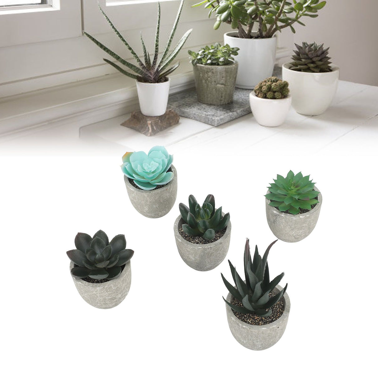 5pcs Artificial Succulent Plants Potted Assorted Mini Decorative Faux Succulent Potted Fake Plants Succulents in Paper Pulp Pot