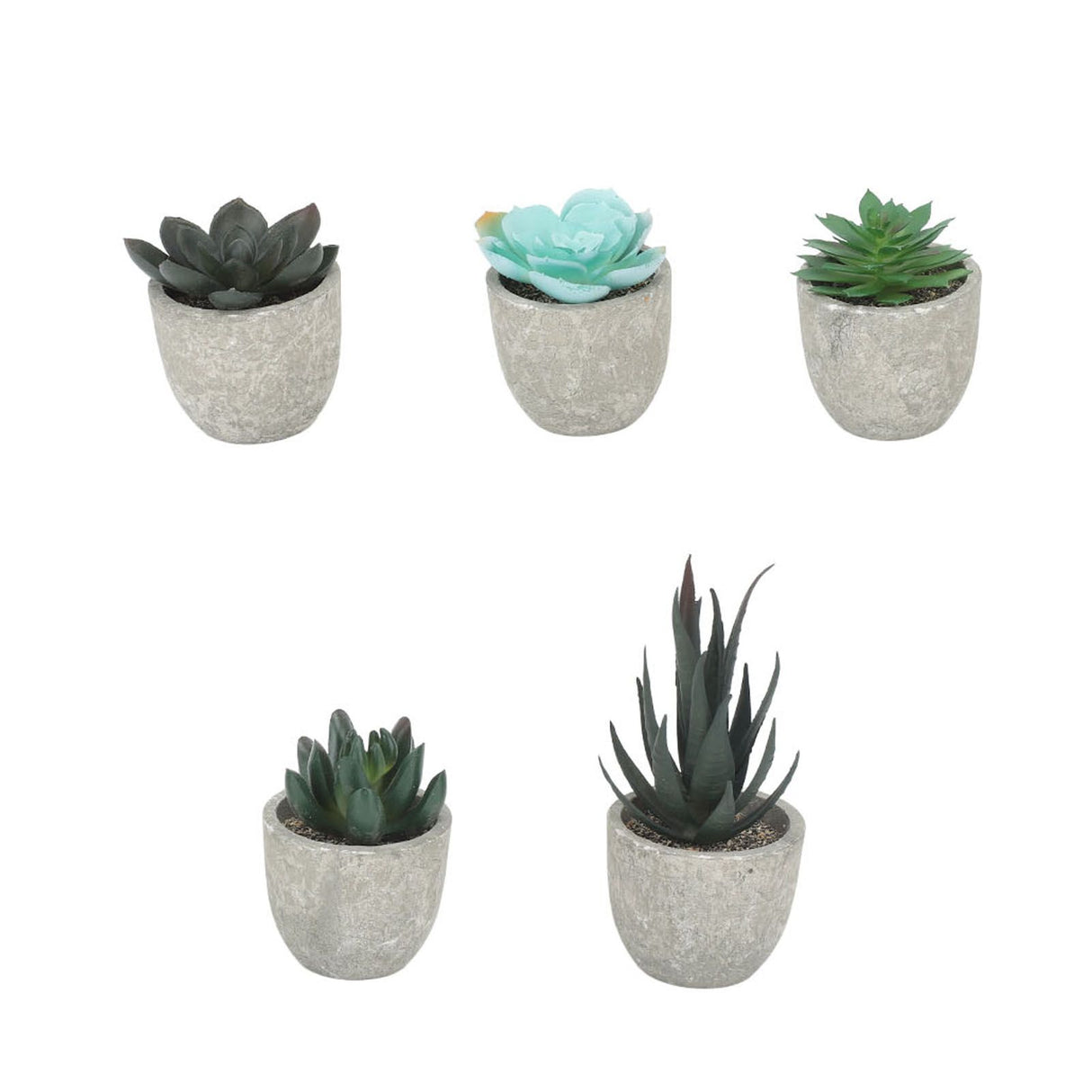 5pcs Artificial Succulent Plants Potted Assorted Mini Decorative Faux Succulent Potted Fake Plants Succulents in Paper Pulp Pot
