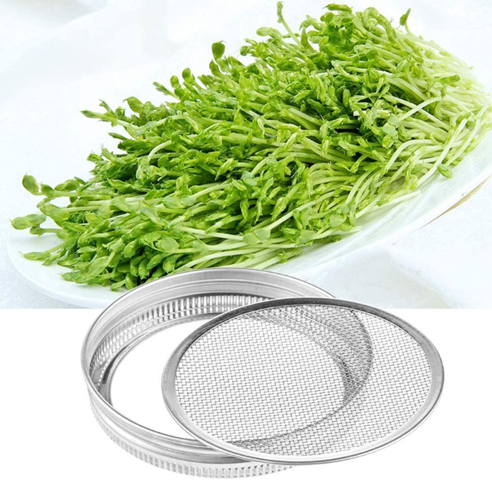 Sprouting Jar With Stainless Steel 304 Screen Lid Wide Mouth Quart Mason Sprouter