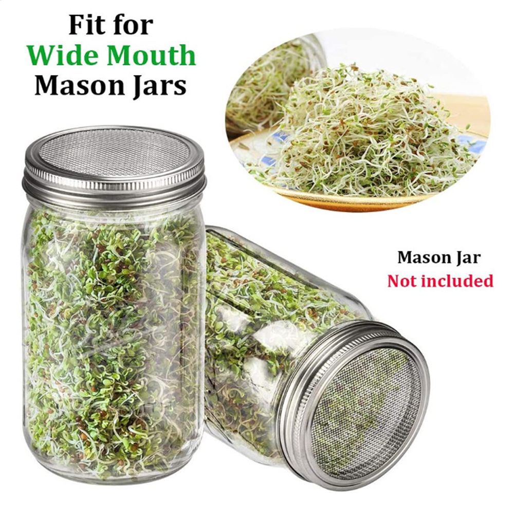 Sprouting Jar With Stainless Steel 304 Screen Lid Wide Mouth Quart Mason Sprouter