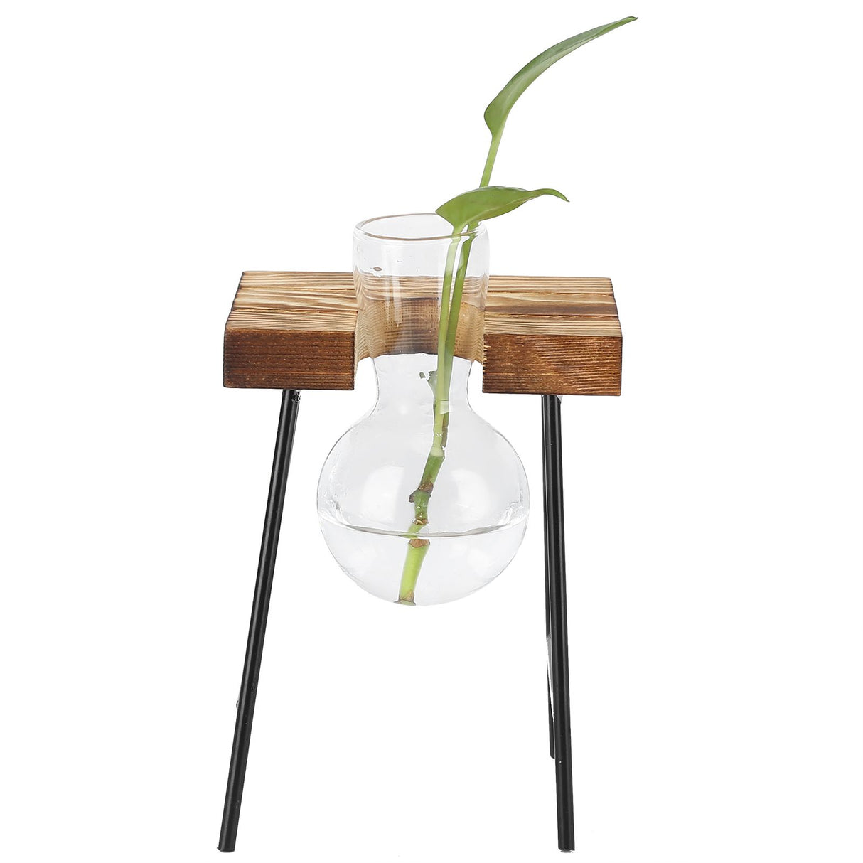 Desktop Glass Planter Wooden Stand Bulb Glass Vase Hydroponics Plant Planter for Home Office Garden1 Bottle