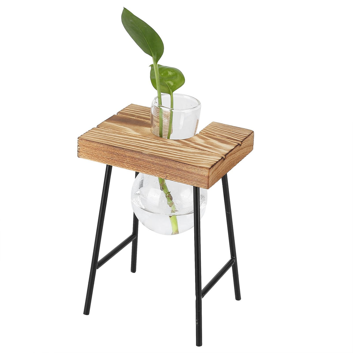 Desktop Glass Planter Wooden Stand Bulb Glass Vase Hydroponics Plant Planter for Home Office Garden1 Bottle