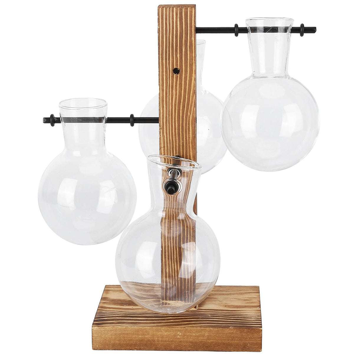 Innovative Hydroponic Vase with Wooden Stand Transparent Desktop Flower Vase for Home