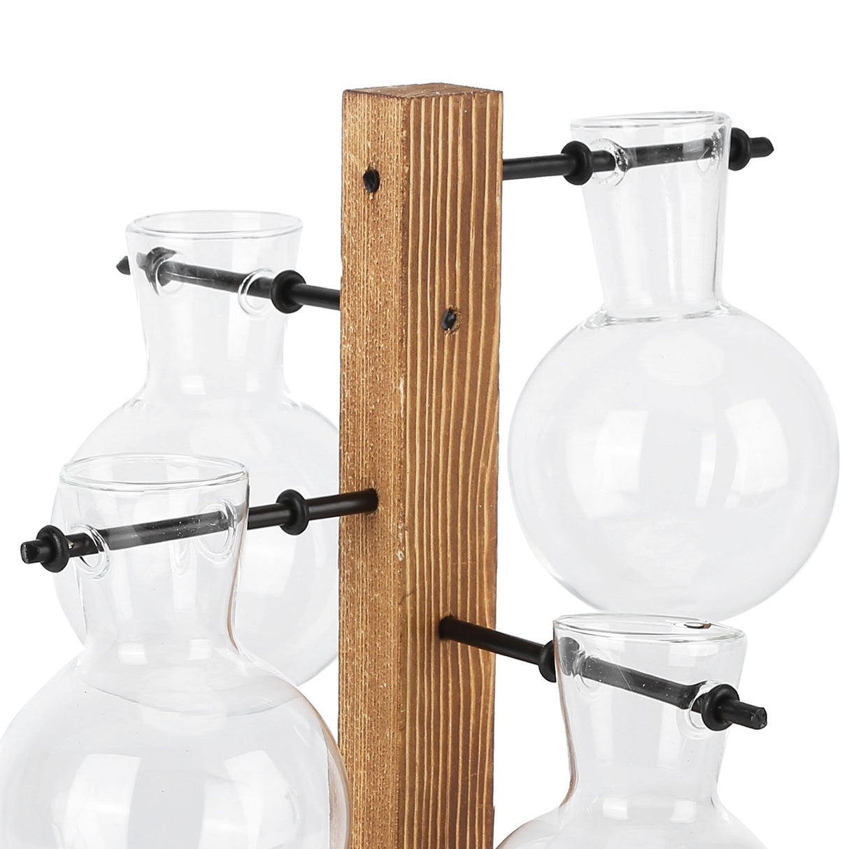Innovative Hydroponic Vase with Wooden Stand Transparent Desktop Flower Vase for Home