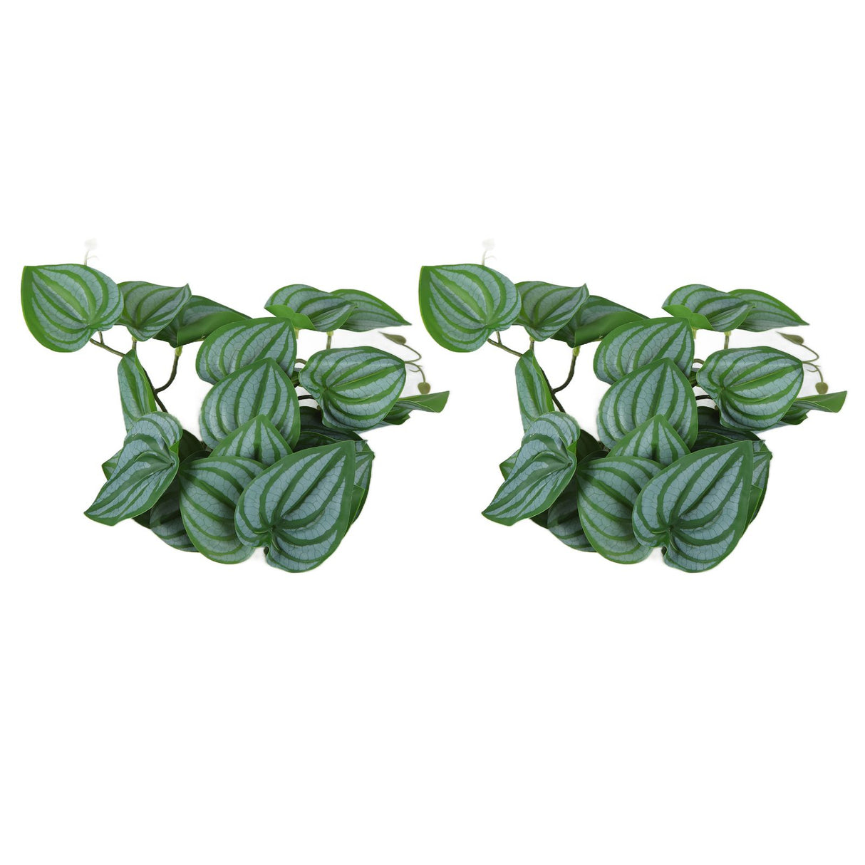 2PCS Artificial Water Plant Simulation Vine Lifelike Plastic Leaves Decoration with Suction Cup for Fish TankWatermelon Leaves