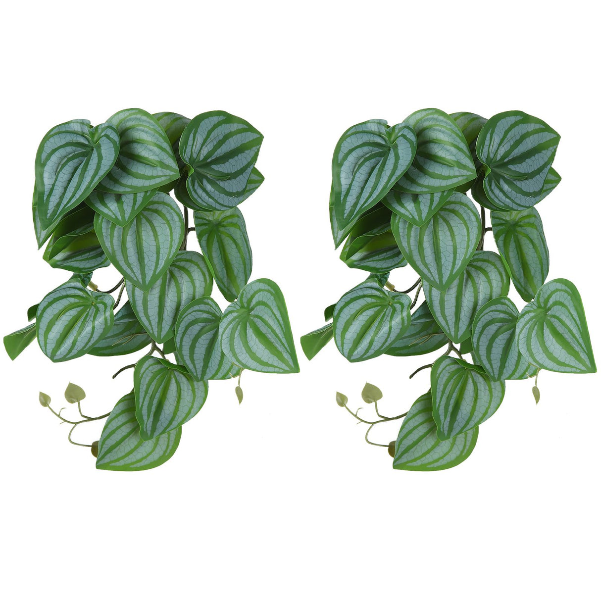 2PCS Artificial Water Plant Simulation Vine Lifelike Plastic Leaves Decoration with Suction Cup for Fish TankWatermelon Leaves