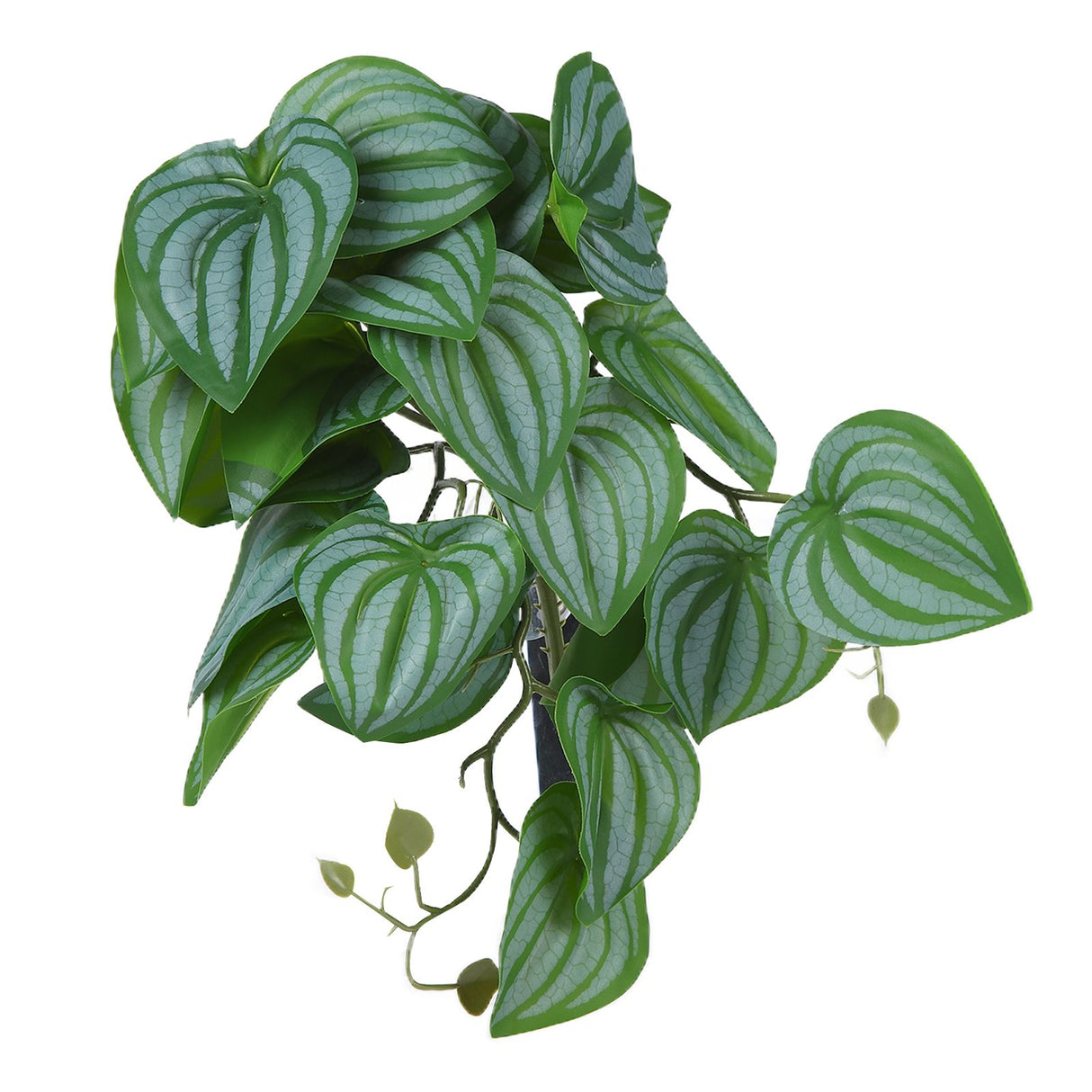 2PCS Artificial Water Plant Simulation Vine Lifelike Plastic Leaves Decoration with Suction Cup for Fish TankWatermelon Leaves