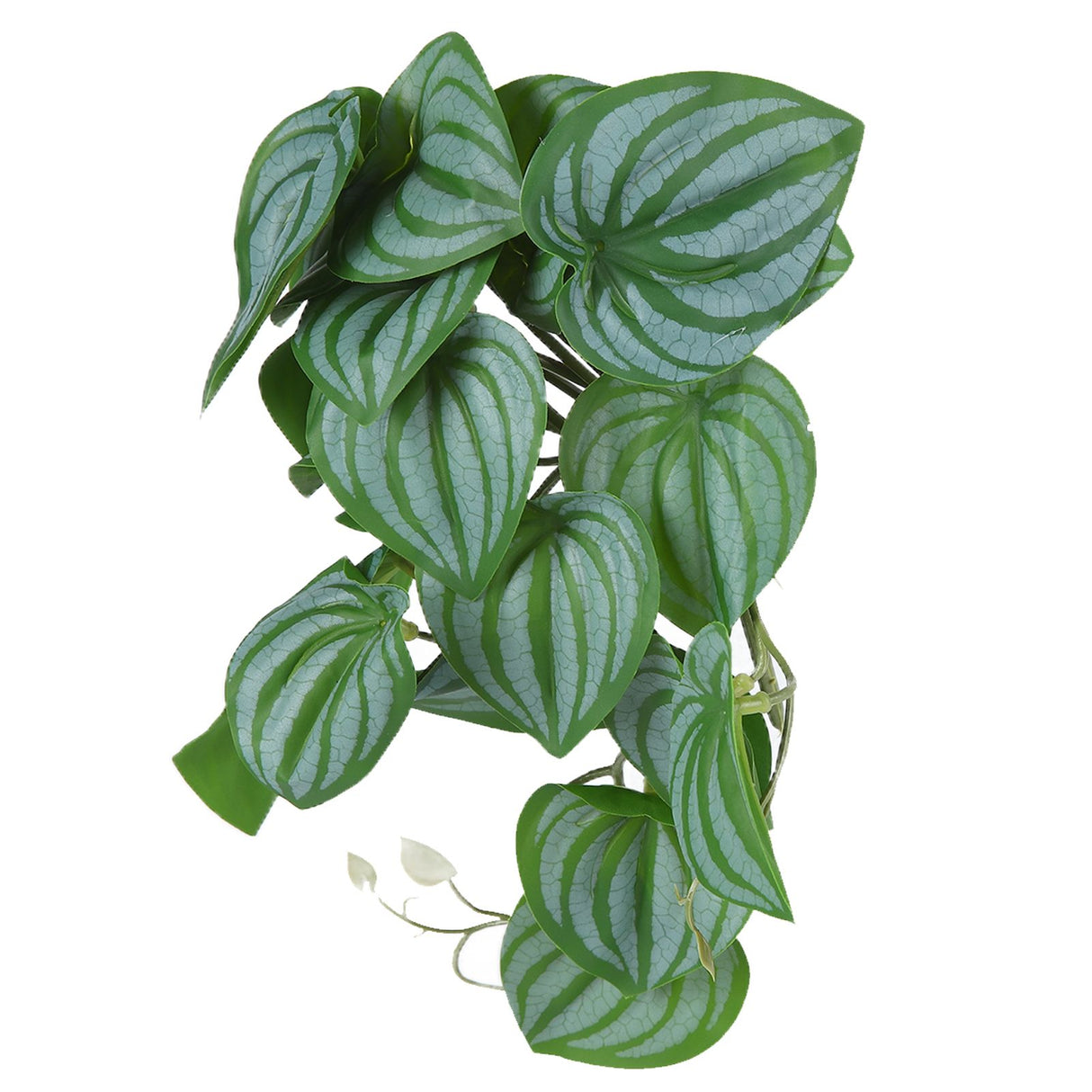 2PCS Artificial Water Plant Simulation Vine Lifelike Plastic Leaves Decoration with Suction Cup for Fish TankWatermelon Leaves