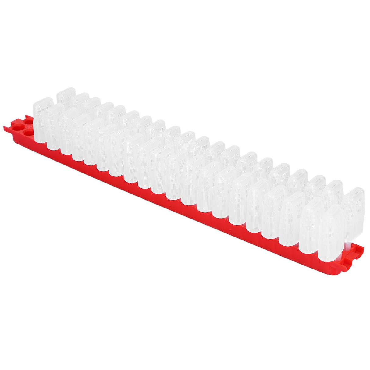 Bee Queen Cage Plastic Bee Rearing Cages Kit with Transport Strip Beekeeping Accessories