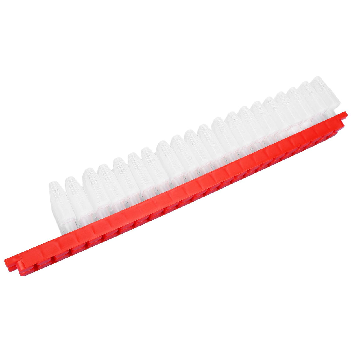 Bee Queen Cage Plastic Bee Rearing Cages Kit with Transport Strip Beekeeping Accessories