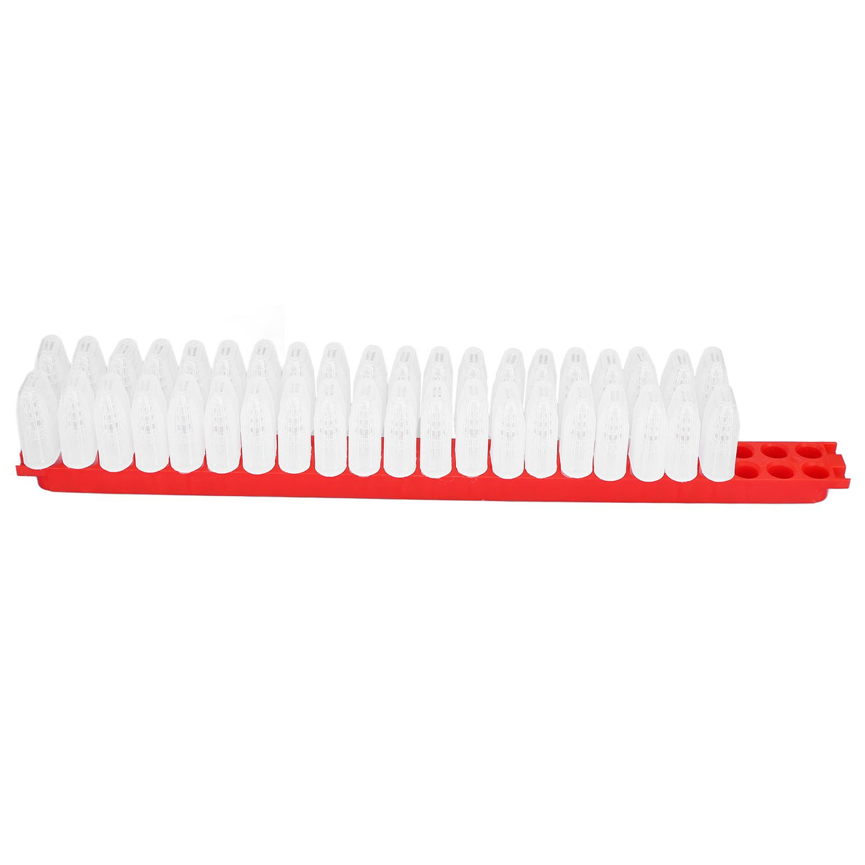 Bee Queen Cage Plastic Bee Rearing Cages Kit with Transport Strip Beekeeping Accessories