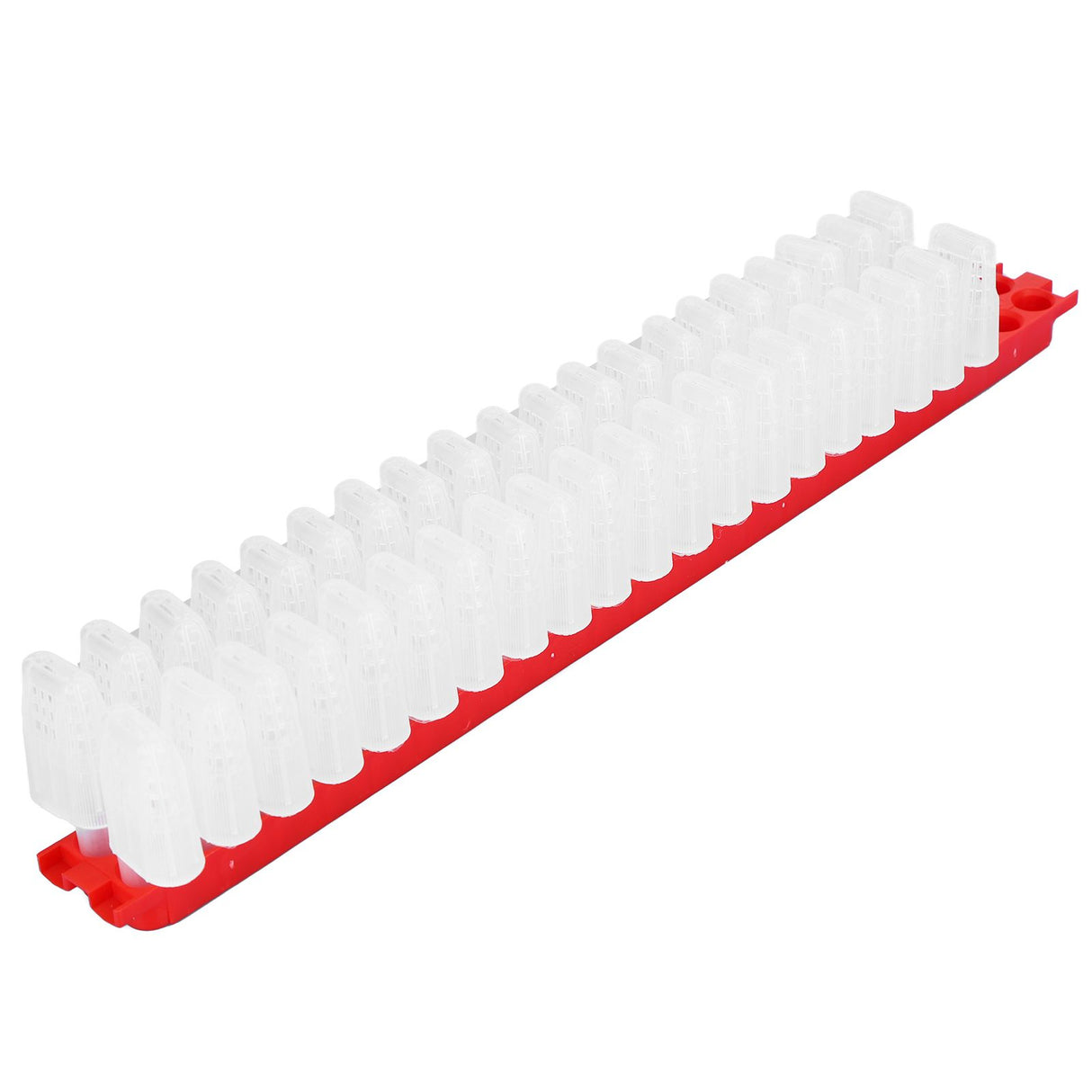 Bee Queen Cage Plastic Bee Rearing Cages Kit with Transport Strip Beekeeping Accessories