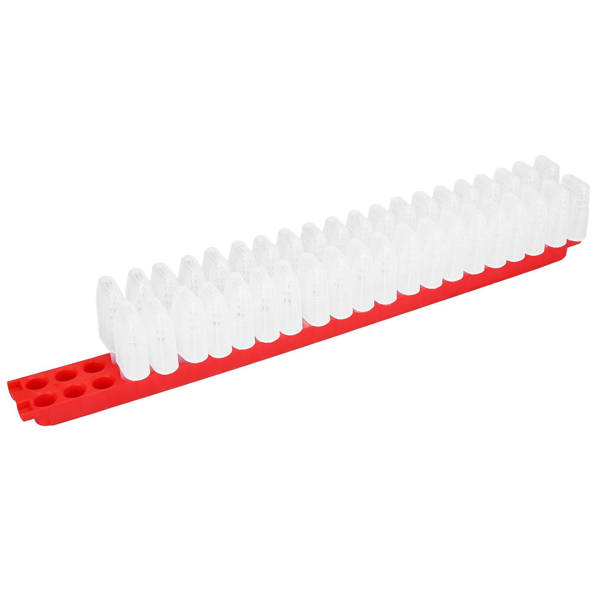 Bee Queen Cage Plastic Bee Rearing Cages Kit with Transport Strip Beekeeping Accessories
