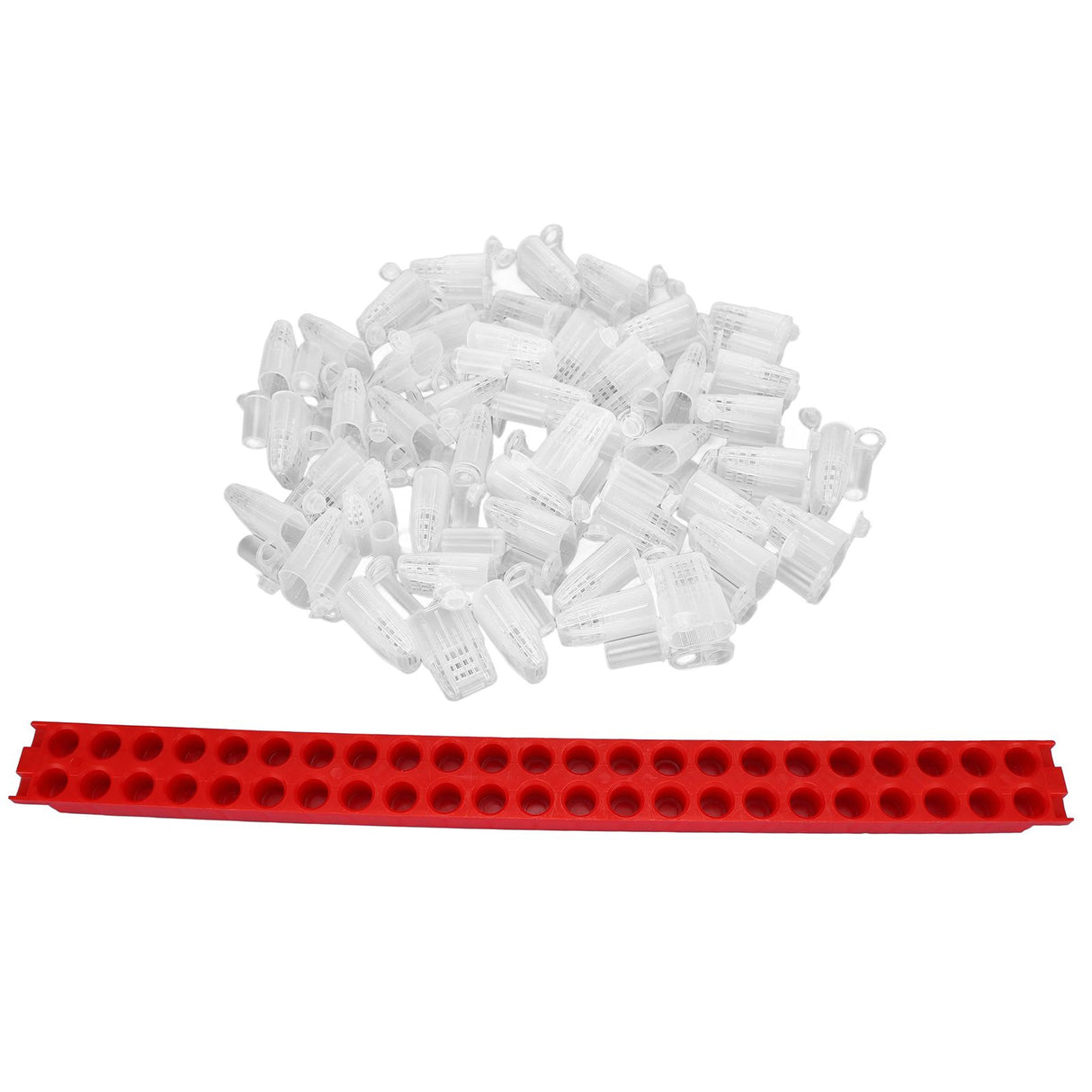 Bee Queen Cage Plastic Bee Rearing Cages Kit with Transport Strip Beekeeping Accessories
