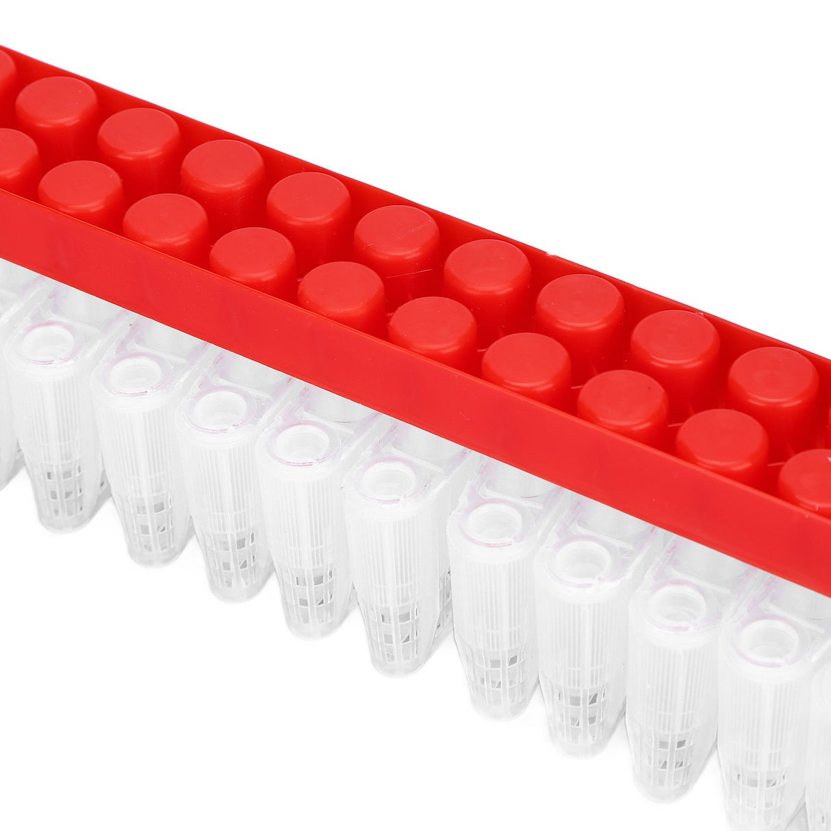 Bee Queen Cage Plastic Bee Rearing Cages Kit with Transport Strip Beekeeping Accessories